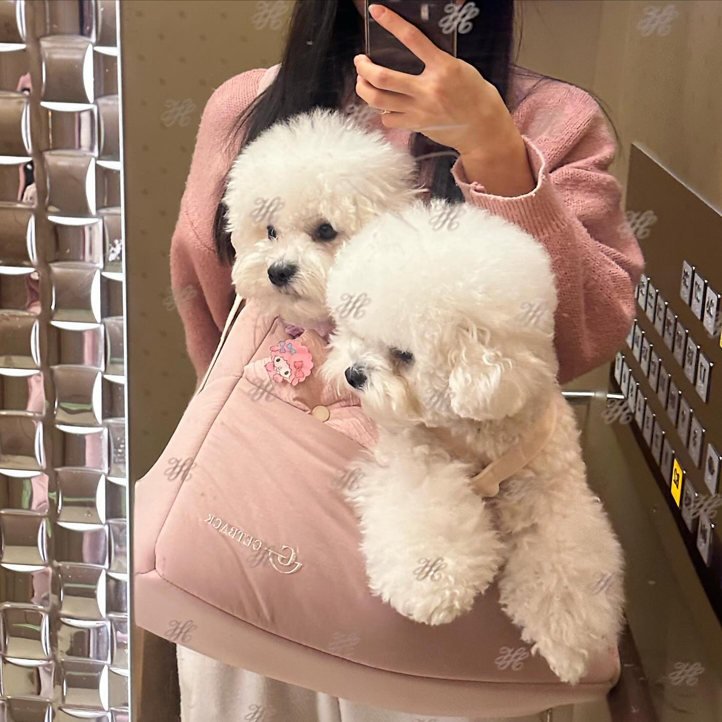 두둥이맘 체험
몰랑아 그냥 우리집 둘찌 해라 ㅠ🫶
