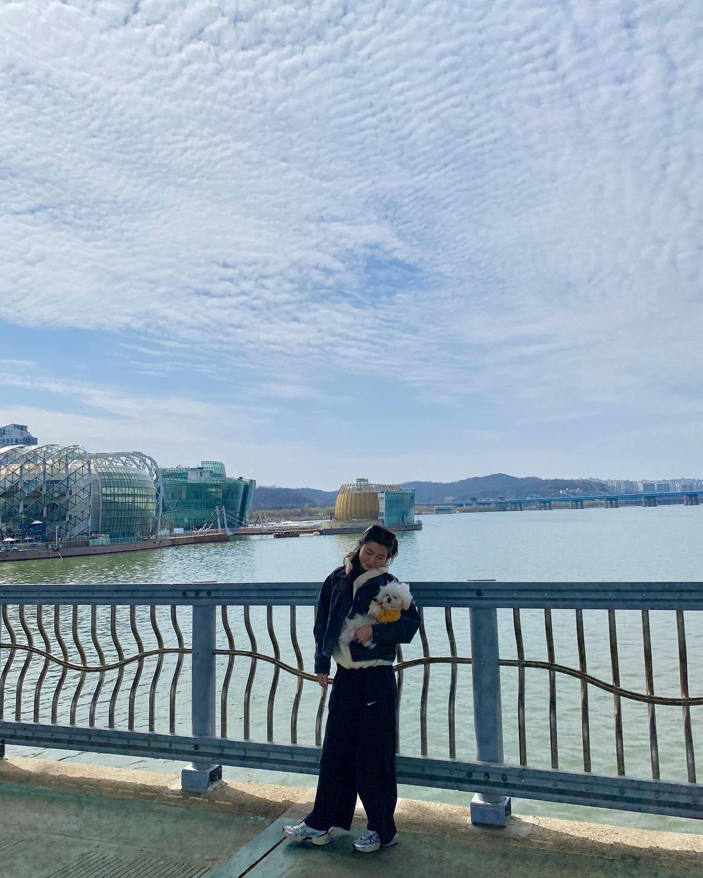 다시 돌아온 한강의 계절 🌞🌱