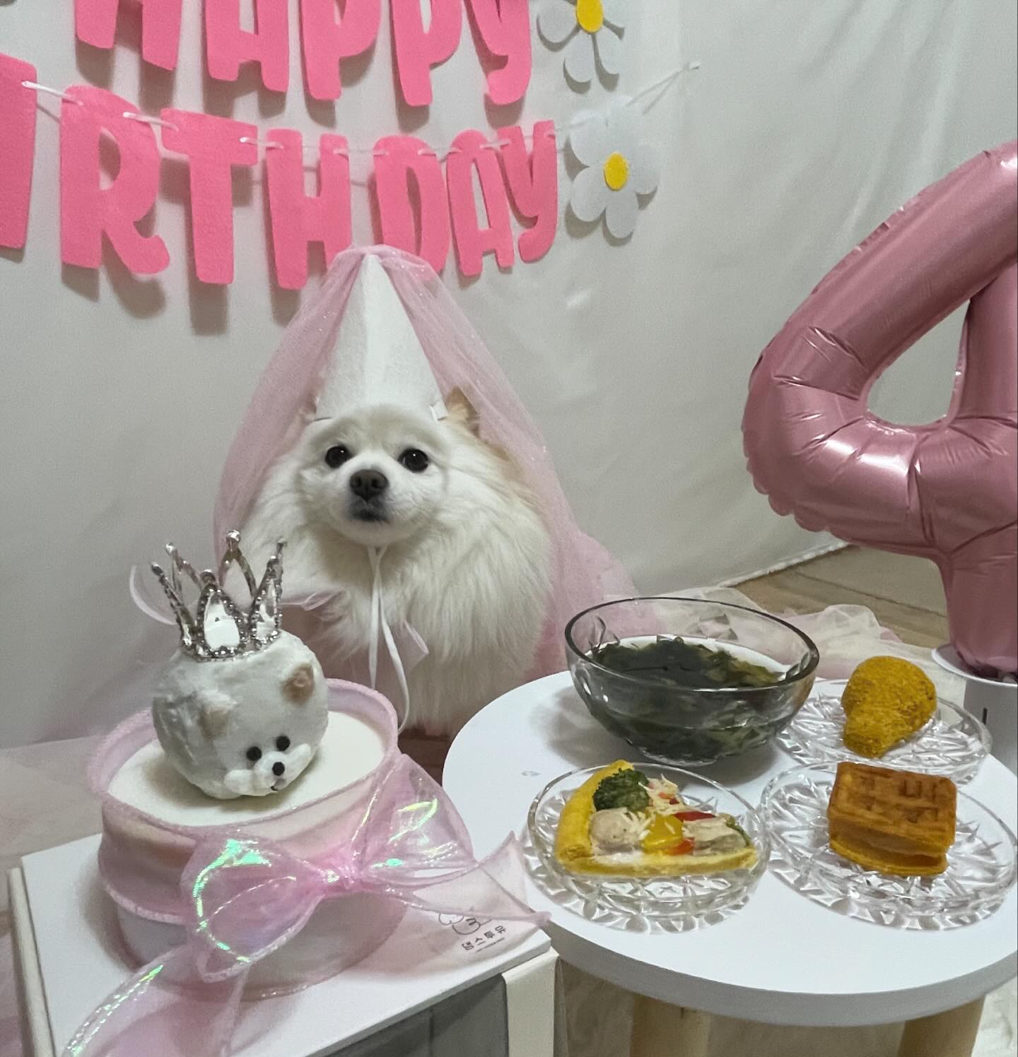 "우리" 4번째 생일🩷 매년 생일상 챙기느라 바뿐 엄마와 먹을생각뿐인 개딸🥰

4번째 생일인데 기쁘다기보다는 왜 뭉클하죠ㅠㅠ벌써 4살이라는게 시간 정말 빠르네요ㅠㅠ😭

#4번째생일🎂 
#시간아멈추어다오🙏 
.
.
#우리 #포메스타그램 #포메라니안 #폼피츠 #일상 #일상스타그램 #강아지일상 #멍팔 #맞팔 #선팔 #견주맞팔 #소통 #소통해요 #패셔니스타 #애견옷 #강아지옷 #강아지모델 #강아지용품 #강아지그램 #강아지스타그램 #강아지인스타그램 #견스타그램 #댕댕이스타그램 #강아지 #인싸