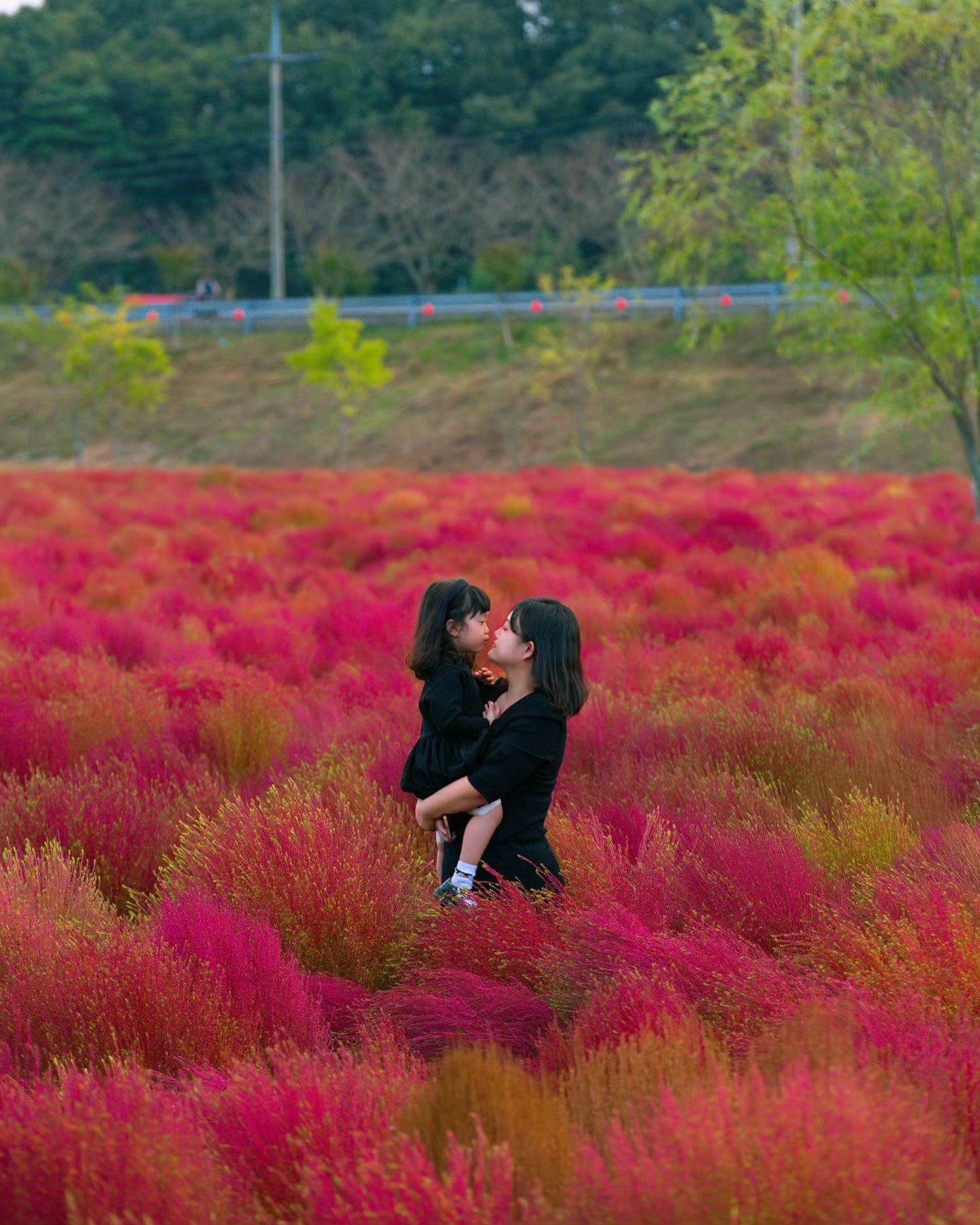 ❤️빨간 댑싸리 밭으로 초대합니다

📍의령 호국의병의 숲
✔️빨갛에 익은 댑싸리와 핑크뮬리 황화코스모스, 아스타국화까지 !!

#경남여행 #대한민국구석구석 #아이랑여행 #의령 #호국의병의숲 #댑싸리 #아스타데이지 #거창 #의령여행 #국내여행 #travle #korea