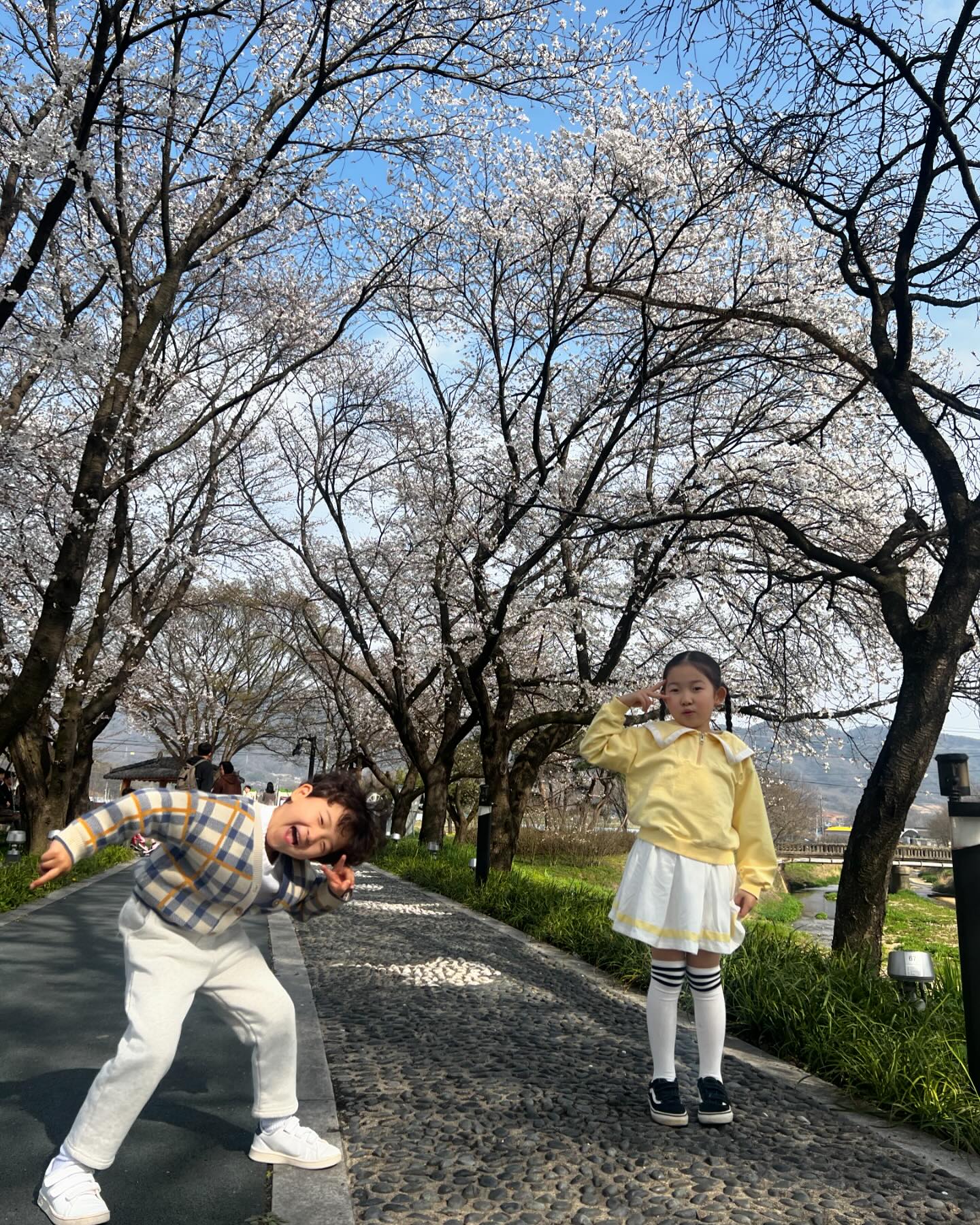 낮에도 이뻤는데 밤되니 더 이쁜 곳
벚꽃구경 원없이 하구와따🌸