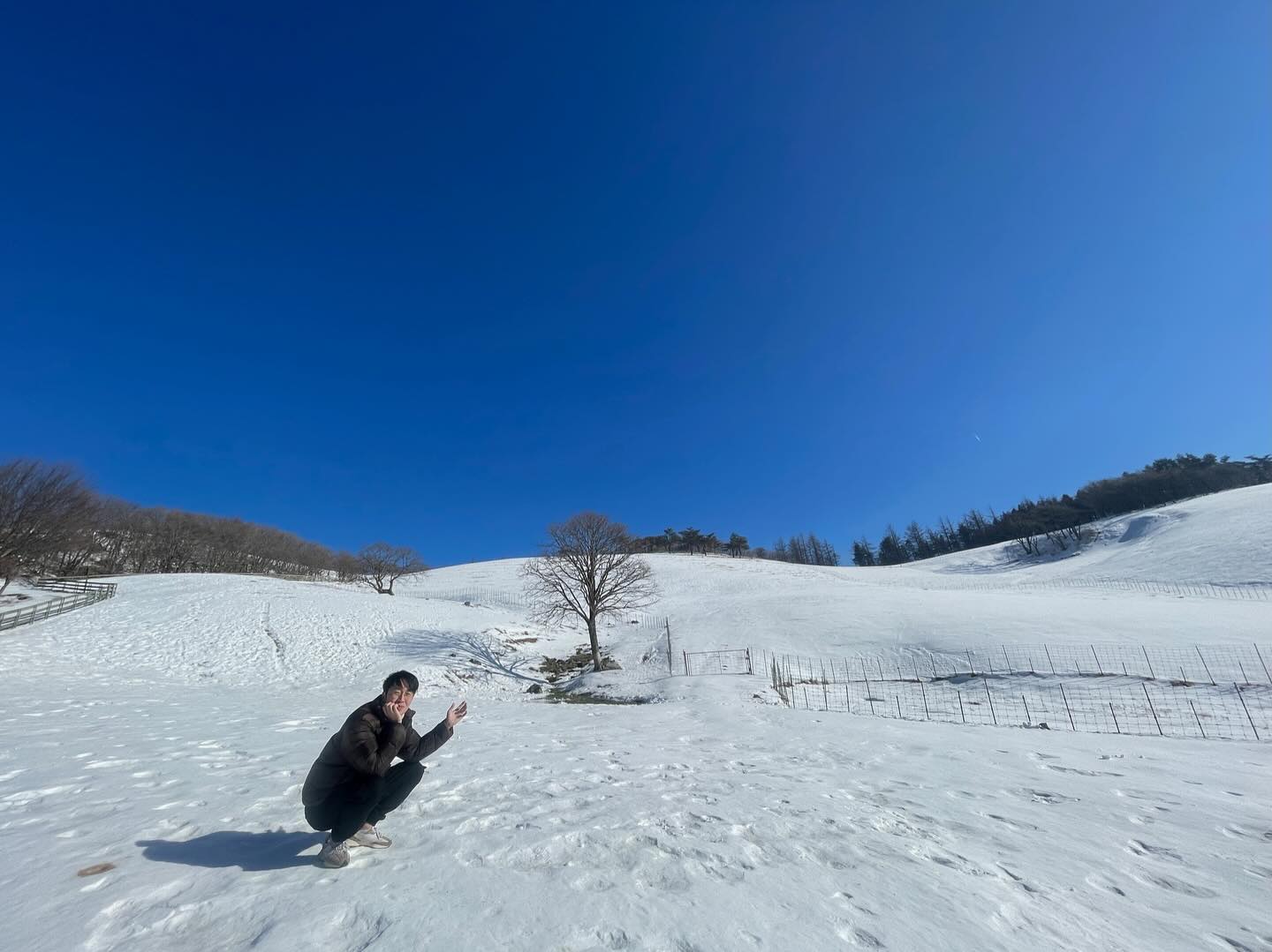 겨울 삿포로는 못 갔지만 여기라도
.
.
.
#대관령 #양떼목장
#2023끝에서