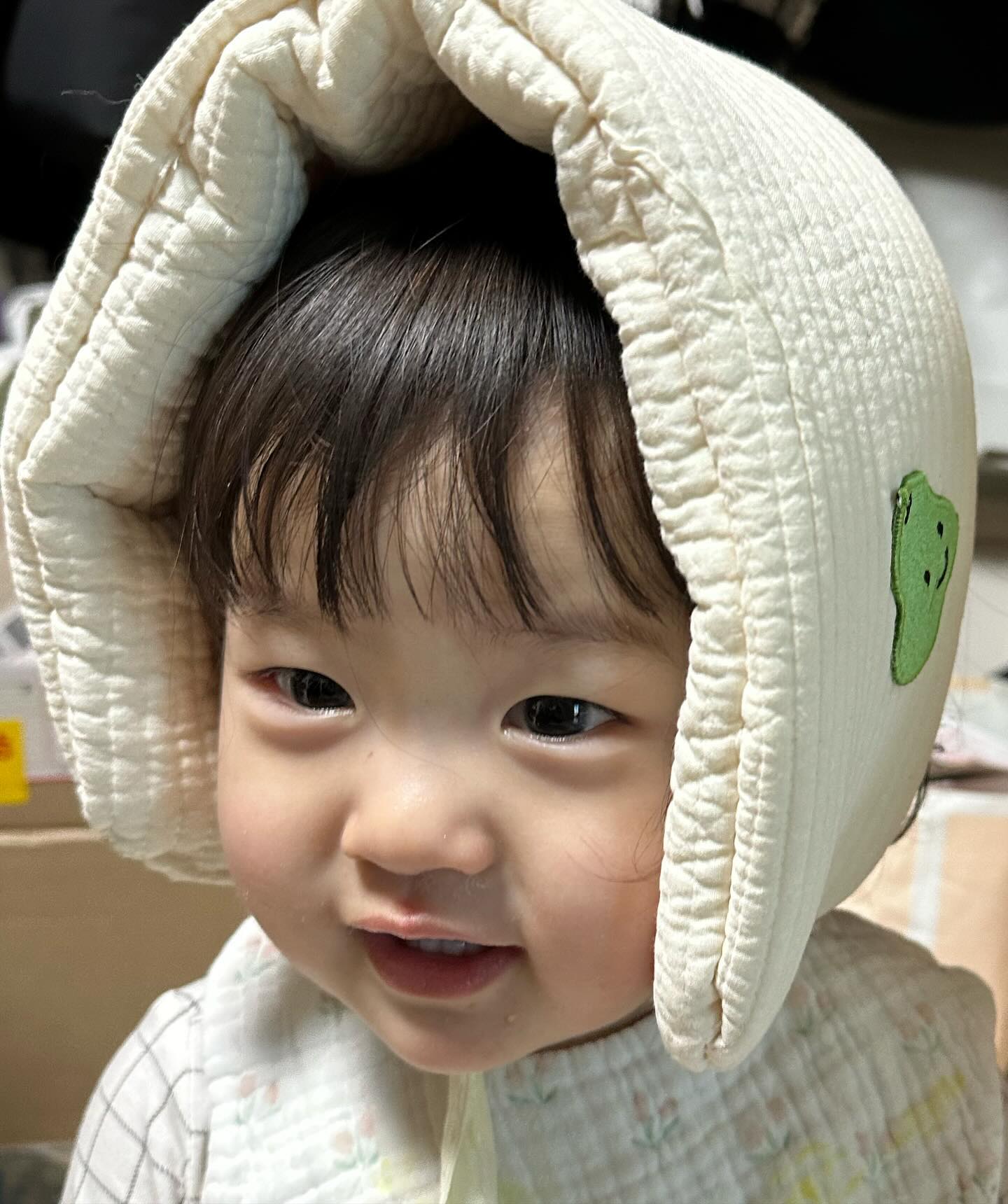 🤎요 며칠 우리 아가들 🤎