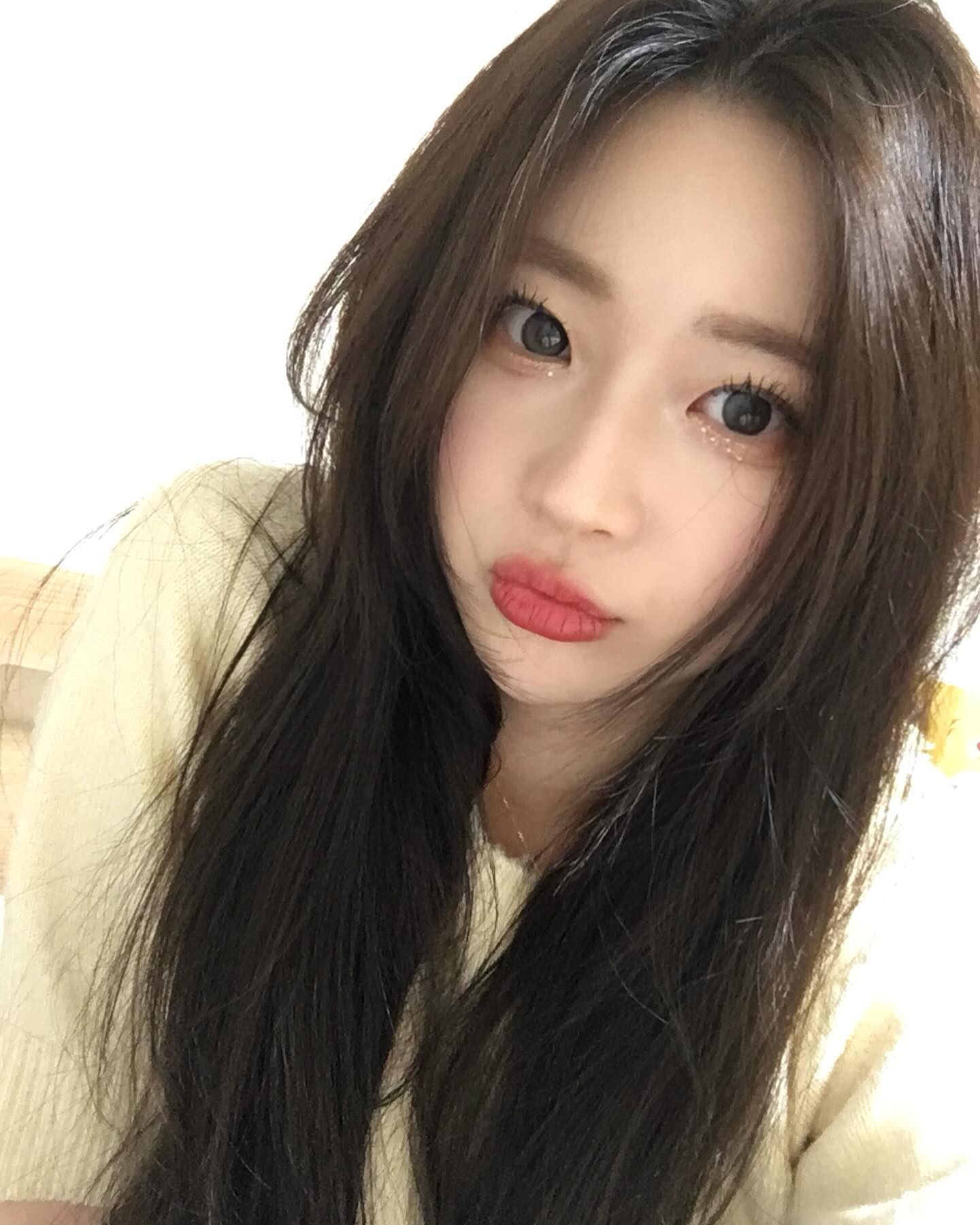 🐣🐥🐤