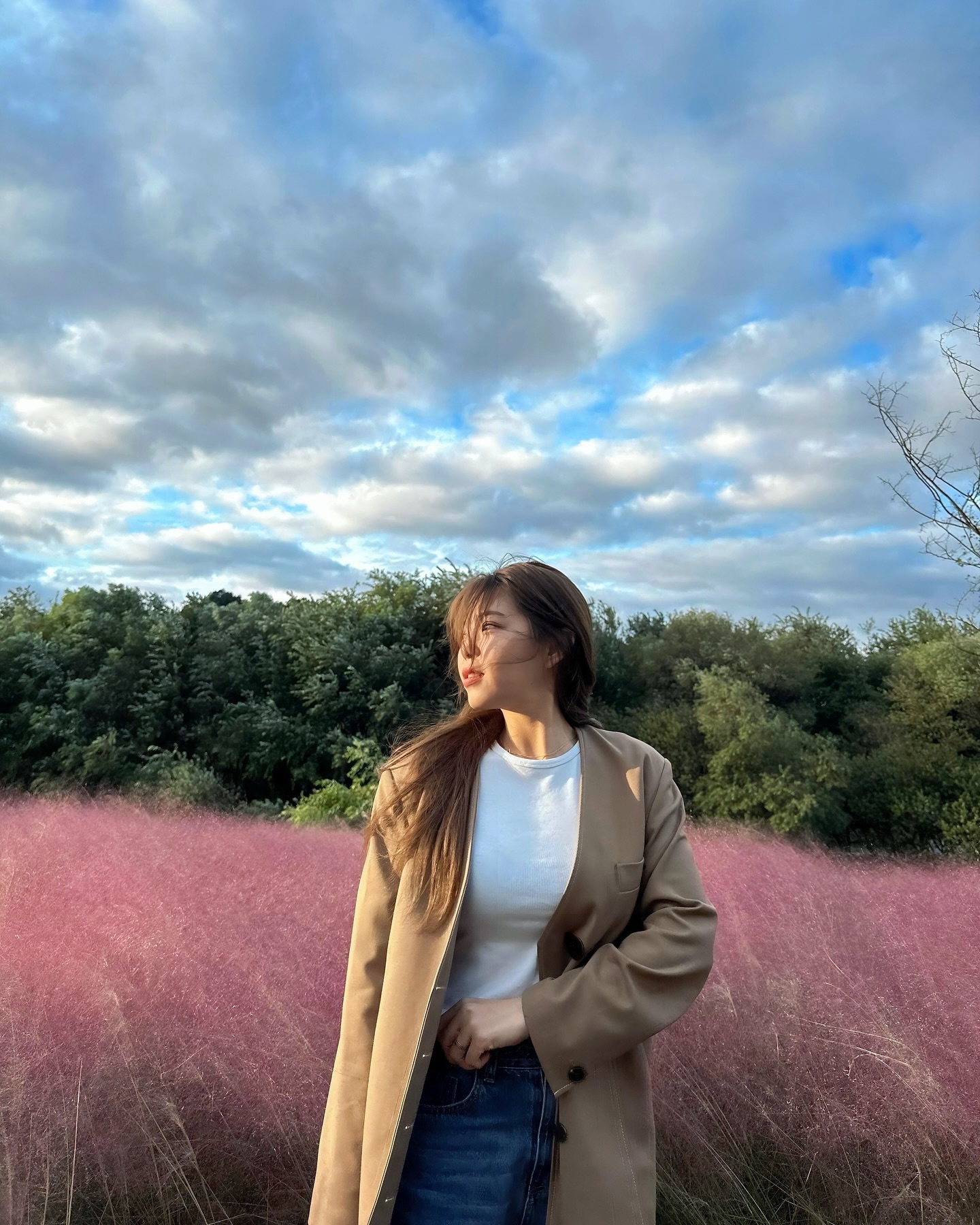 정작가님과 함께한 핑크뮬리💗🌸