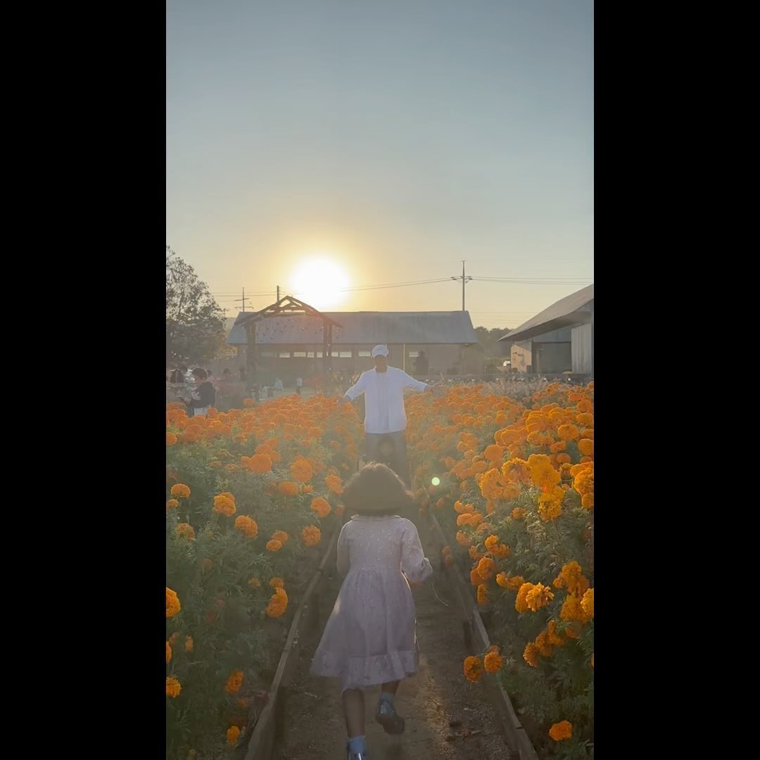 #카페추천 

단풍캠 못가서 슬펐는데
이쁜 카페 다녀와서  I am 행복해요😀
Next year에는 저도 단풍캠 갈거에요🙏

📍백설농부
충남 예산군 봉산면 봉산로 516
영업시간 10시반~21시, 화요일 휴무