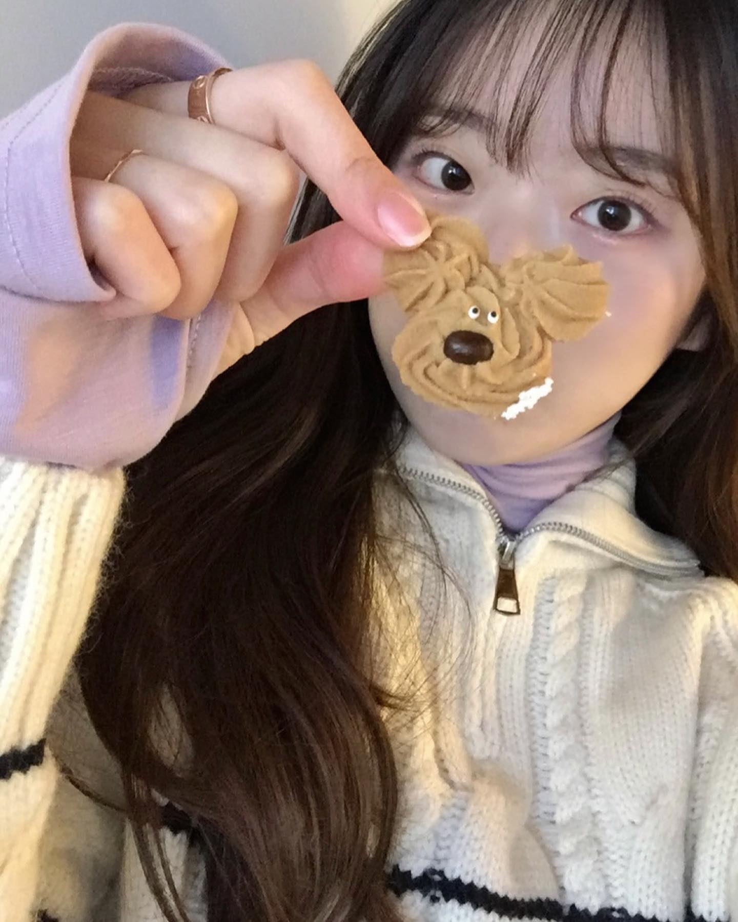 강아지 세마리 ~ ? 🙄