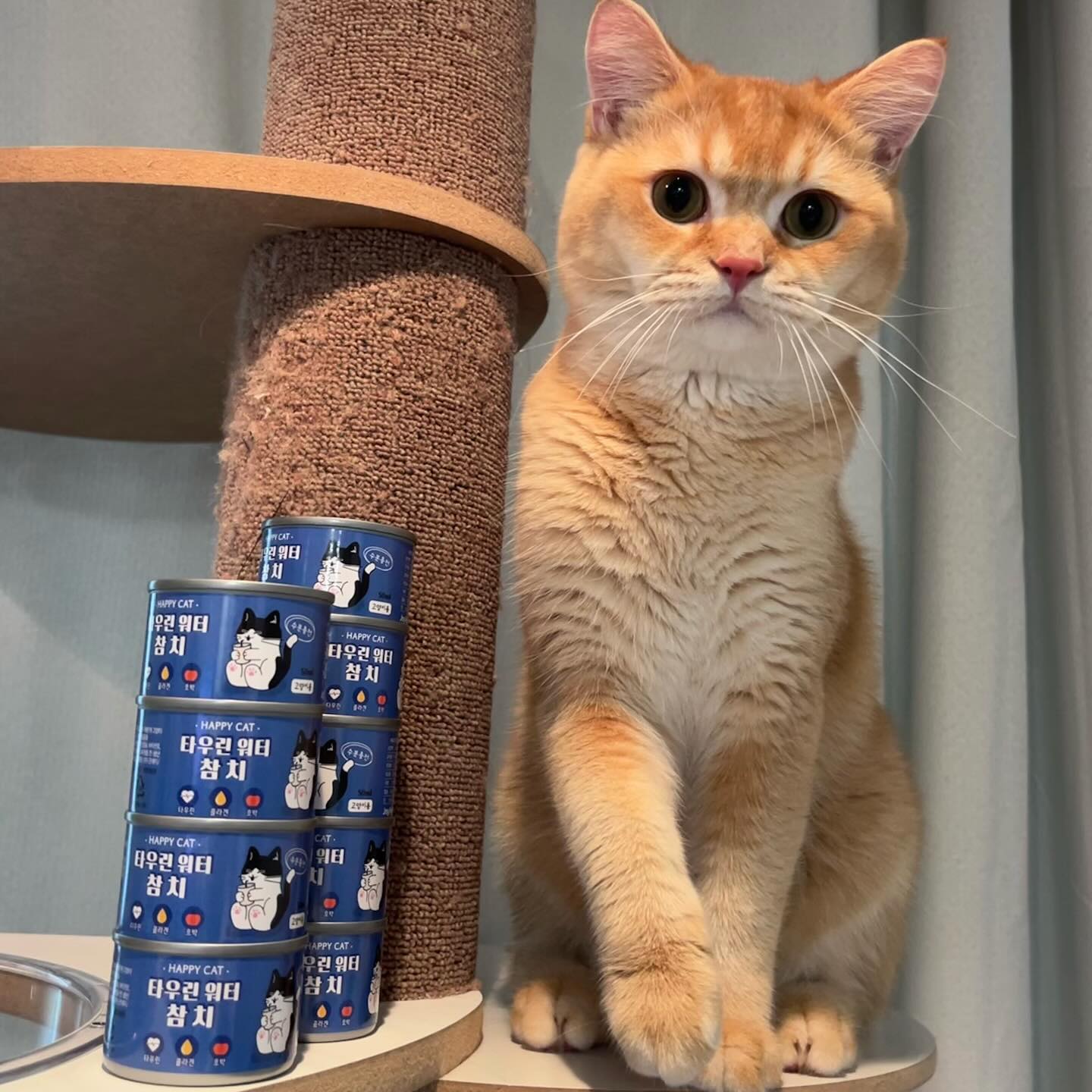 조이펫 고양이 타우린워터🐈💙

✅한번에 먹기좋은 50ml 용량
✅7kcal 다이어트냥이도 걱정없는 저칼로리
✅참치,타우린,콜라겐,호박 등 고양이건강에 좋은성분만 가득
✅고양이전용음수량드링크제품

#조이펫 #고양이음수량 #고양이물 #고양이타우린 #고양이물먹이기

해당글은 제품과소정의원고료를 지원받아 작성되었습니다.
