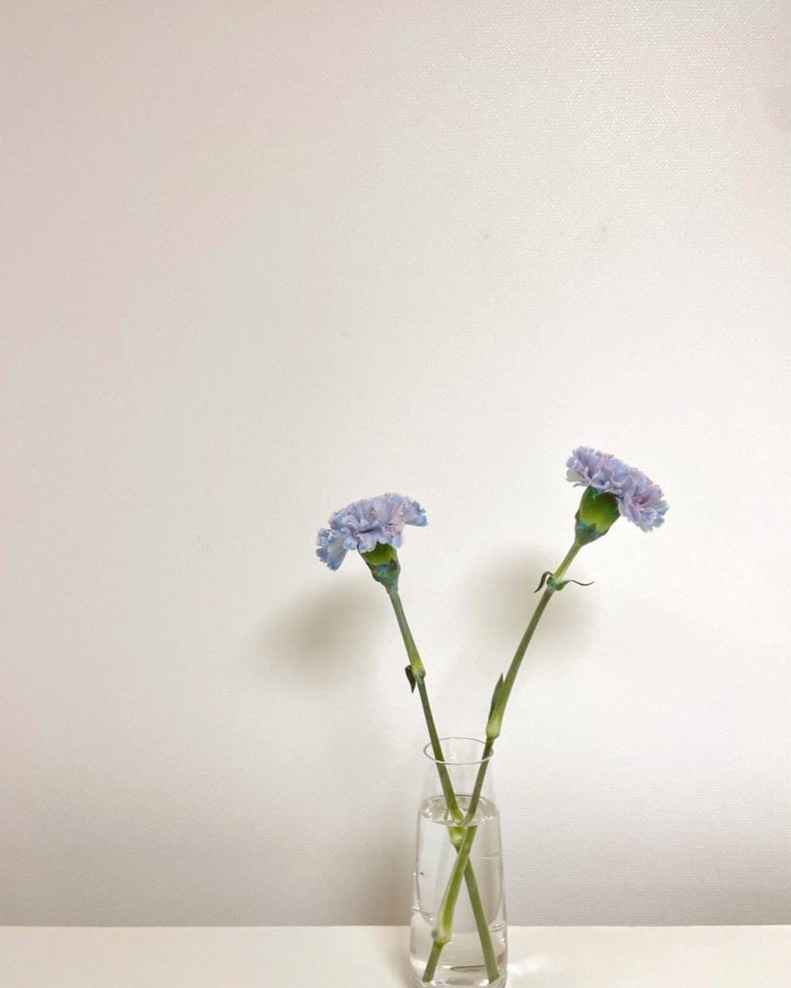 콘텐츠