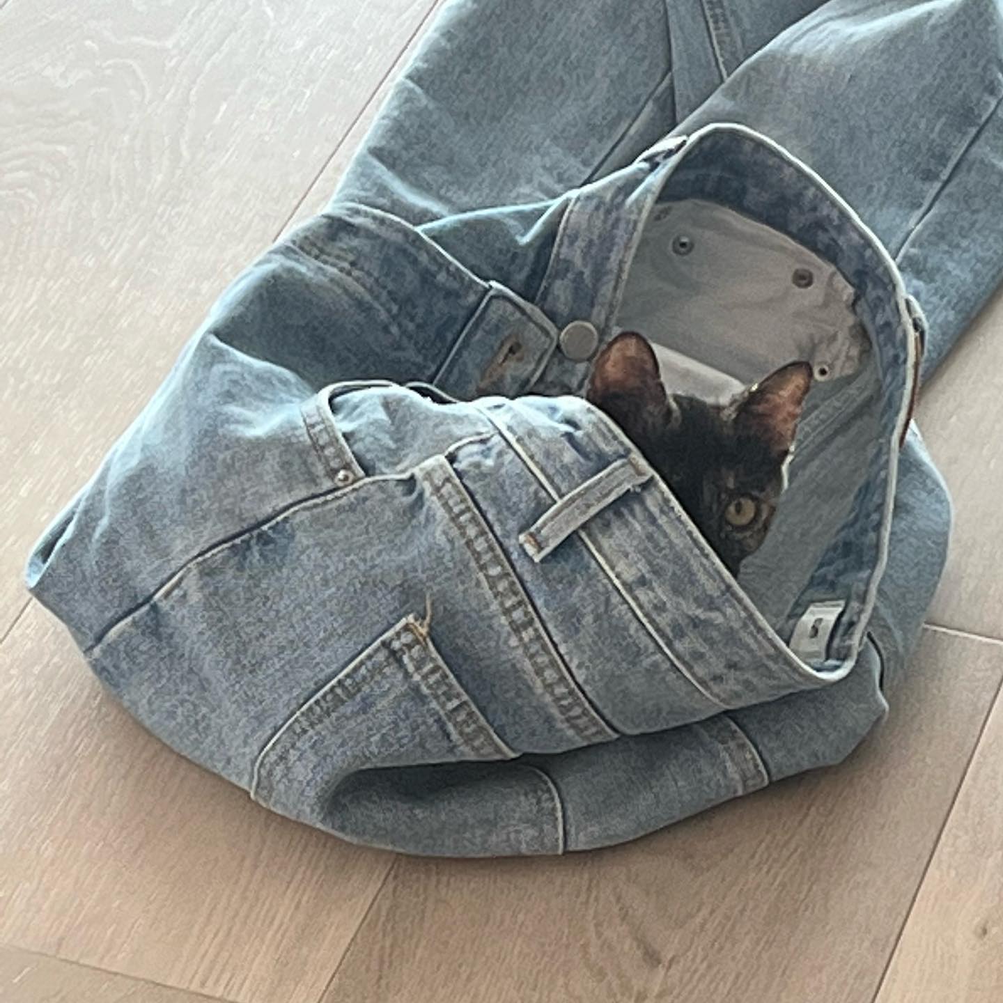 집보다 엄마 바지지👀