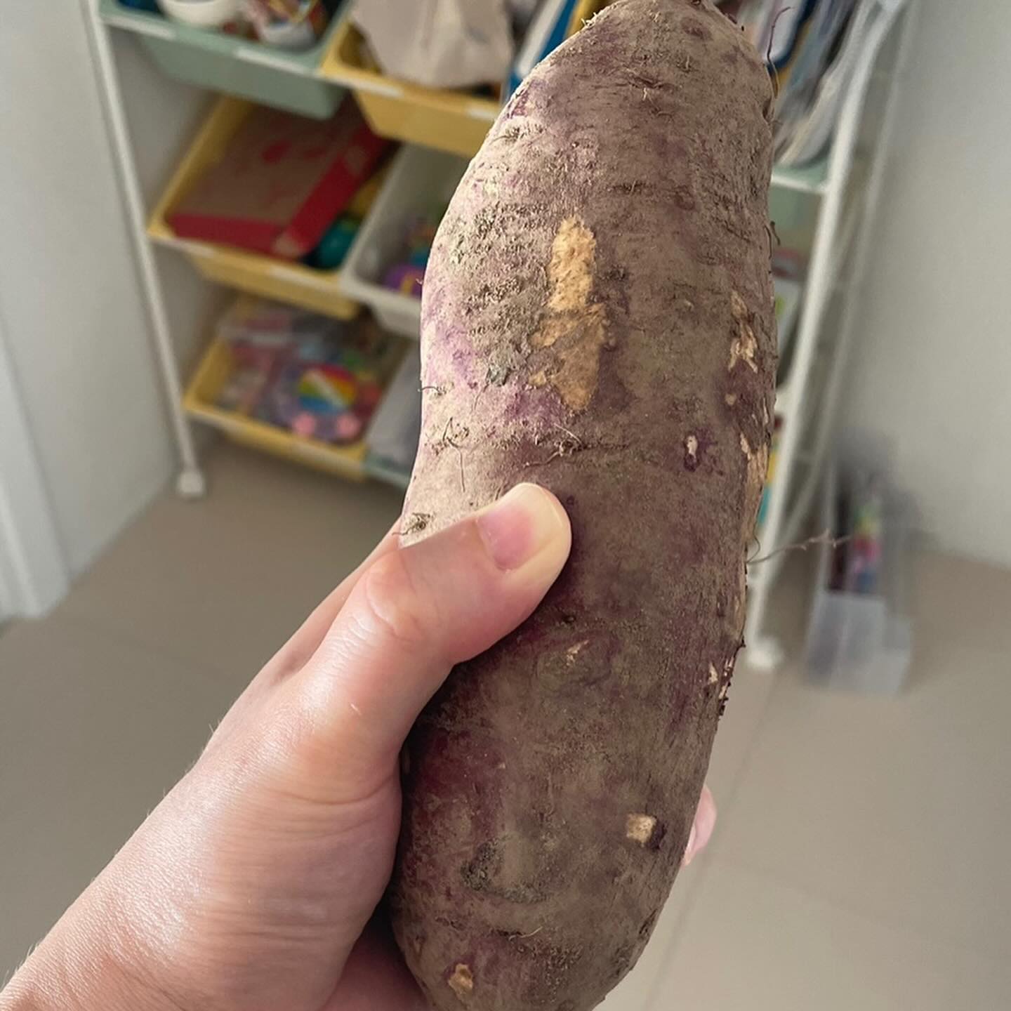 #후배가 보내준 무같은 왕고구마 #고구마탕후루 #고구마맛탕 해먹어도 맛있