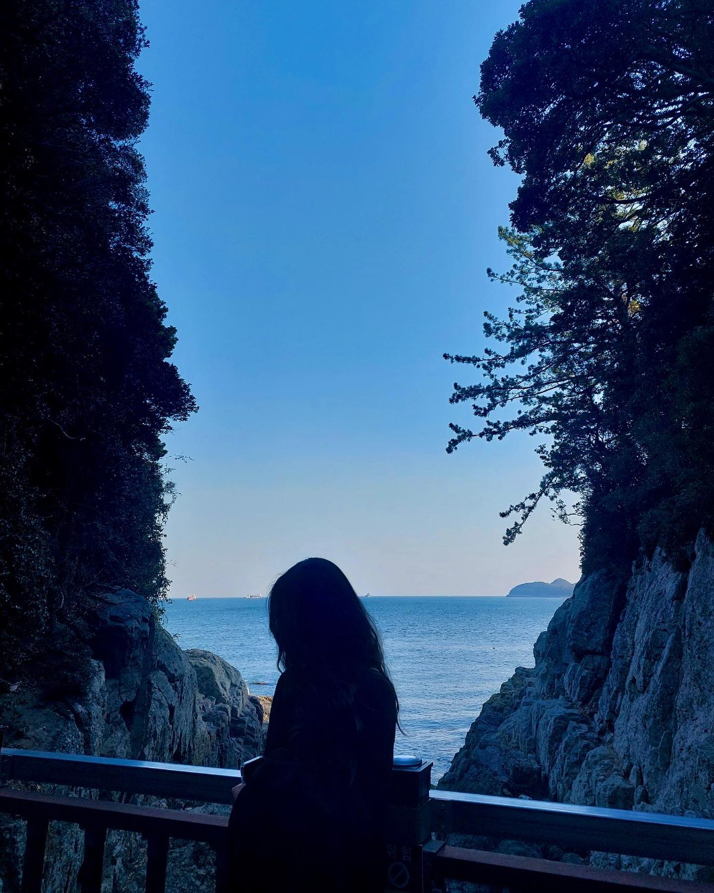 💙