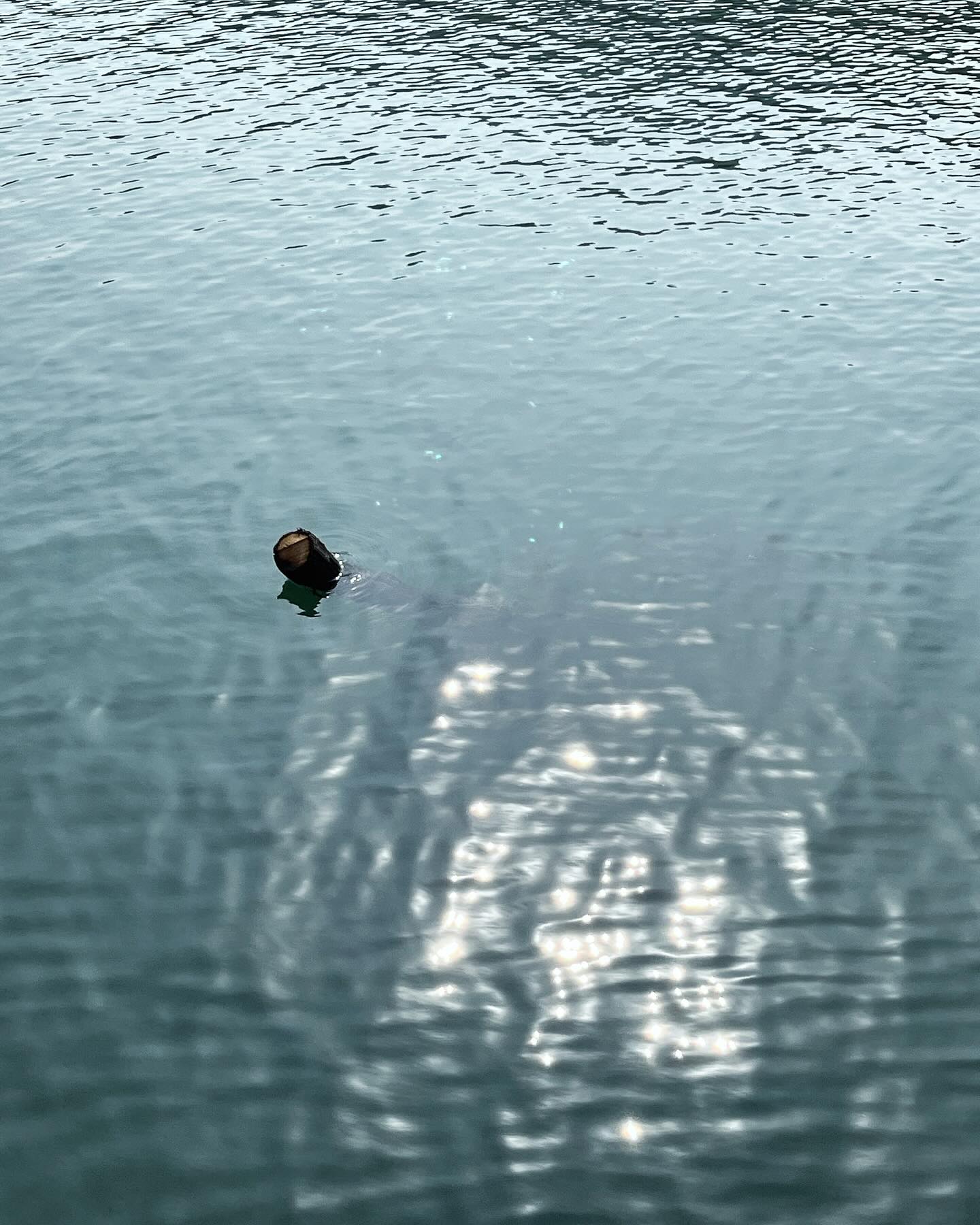 바다보고싶다~~