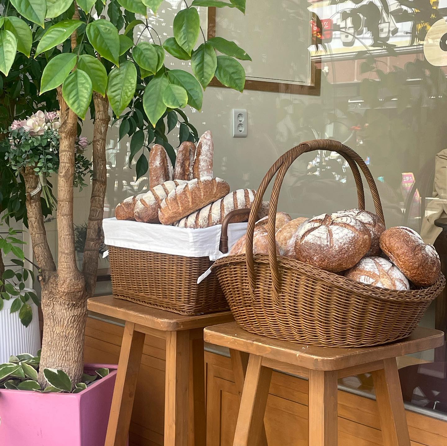 #협찬 #유료광고 #광고 

📍베이크댓 - 호매실 베이커리 맛집🥨
bake_that_bakery 

집 근처에 이런 빵 맛집이🥹❤️

⭐️ 제공받은 메뉴
- 소세지빵 
- 콘크런치 
- 양파빵 
- 햄치즈빵
- 아이스이메리카노
- 토피넛라떼

전체적으로 디저트가 모두 자극적이지 않고 속재료가 가득 들어있어서 빵순이로서 인정하는 빵맛집😍

#협찬 #베이크댓 #호매실맛집 #호매실빵집 #호매실베이커리 #호매실베이커리카페 #베이커리맛집 #수제베이커리 #수원빵집 #빵맛집 #베이커리맛집 #수원베이커리맛집