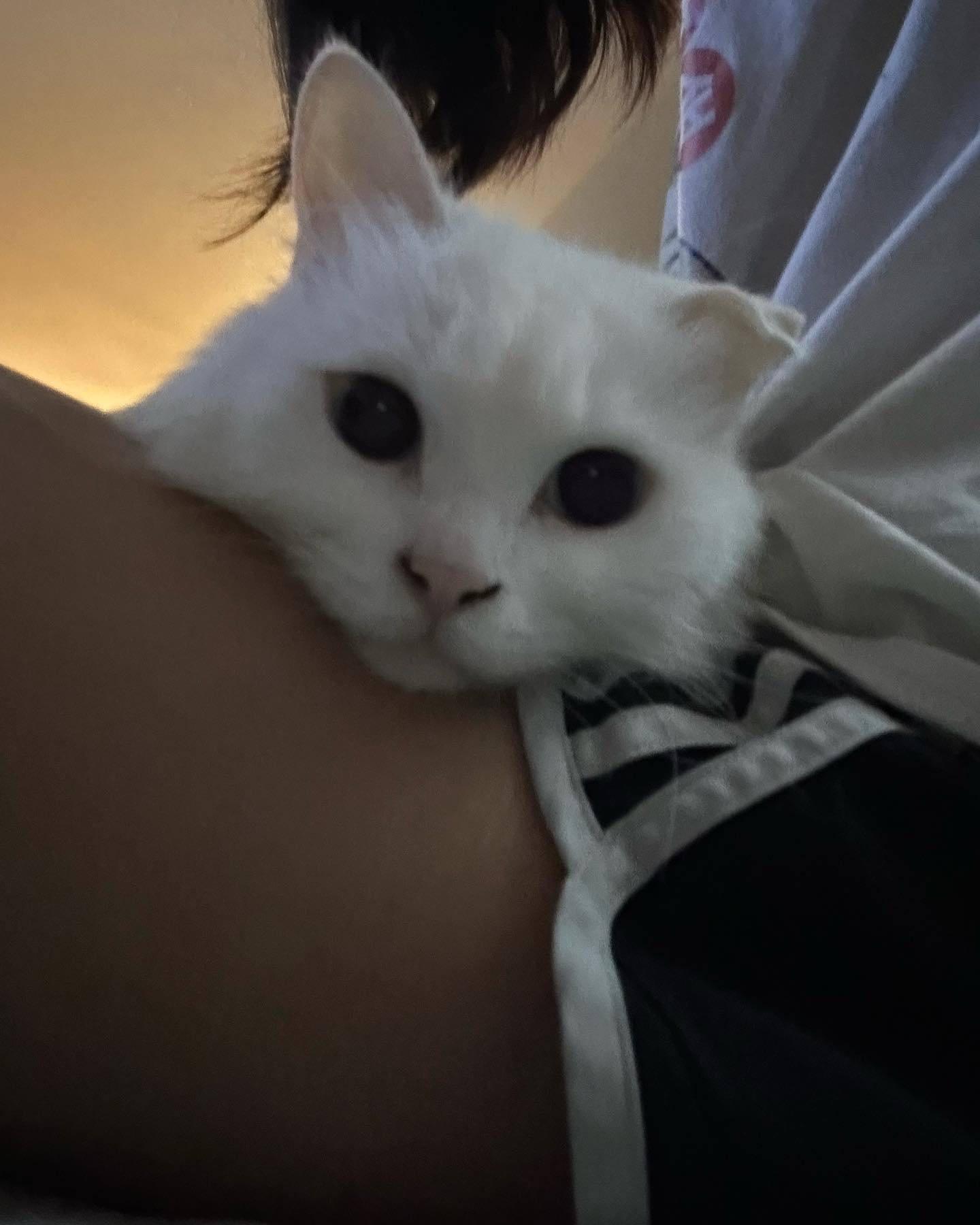 편해?