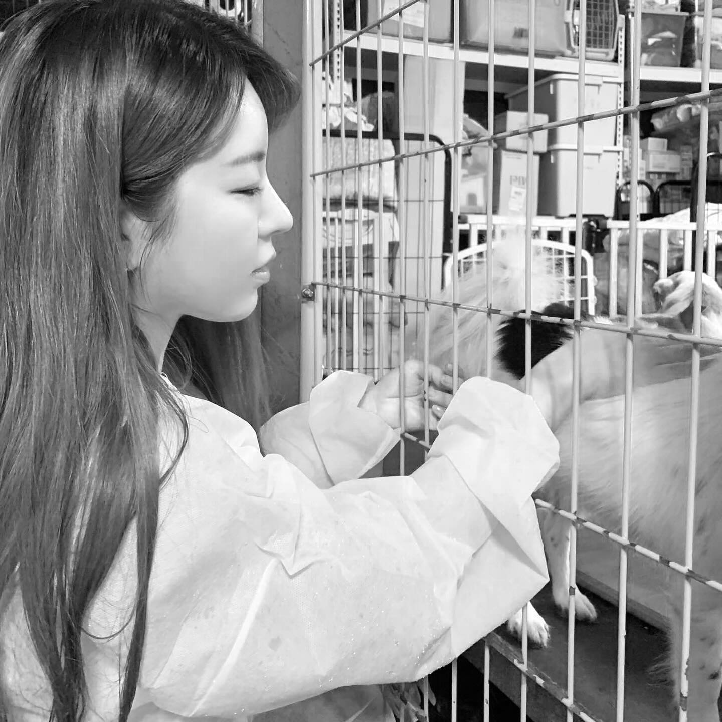 🐶🐶🐶🐶🐶
더웠던 여름부터
눈오는 겨울까지