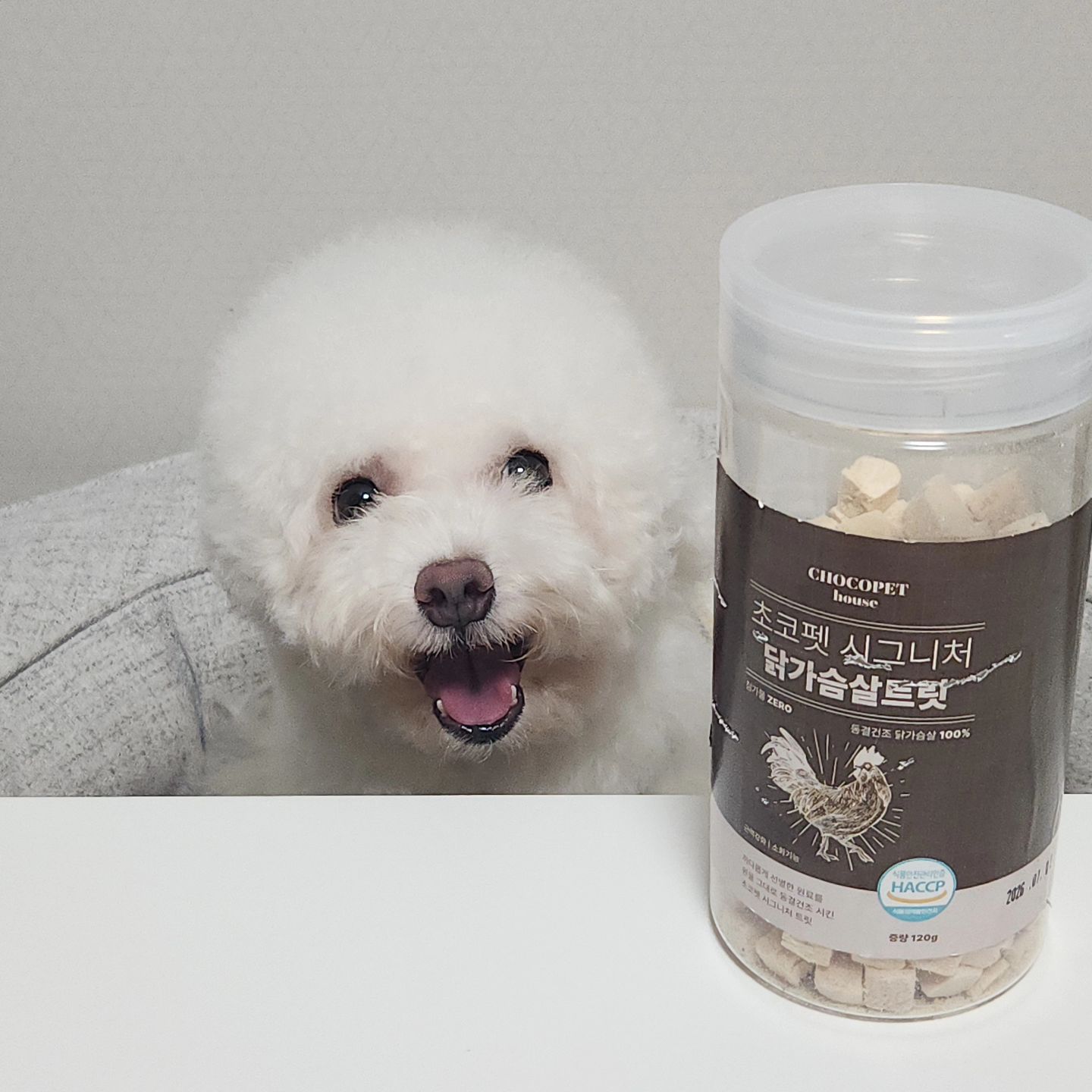 #협찬

감자 율무가 좋아하는 초코펫 동결건조 트릿🍫

🤎 인증된 국내 제조•생산 시설

🤎 자연산 원재료

🤎 진공동결건조

🤎 염격한 품질관리

🤎감자 후기🤎

율무가 트릿을 진짜 좋아하는데 역시나 너무 
잘 먹더라구요! 감자는 늘 잘 먹구 율무가 닭가슴살을 가장 좋아해서 닭가슴살 맛을 골랐는데 통만 흔들어도 달려오고 먹고 싶어서 통을 긁고 그래서 스크래쳐 날 정도로 좋아해요😍

#광고 #초코펫 #초코펫하우스 #강아지간식 #동결건조간식

chocopethouse