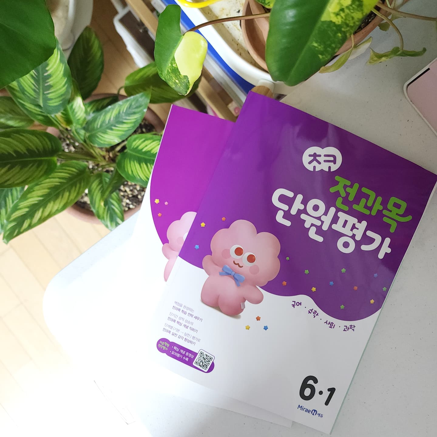 #협찬
.
.
평생 오지않을것만 같은 개학도 어느덧 2주앞으로 다가왔어요
방학시작전 계획은 창대했으나 막상 뭐하나 제대로 한건없고
예비중학생 된다고 생각하니 마음만 급한상태 ㅜㅜ

과목별 문제집을 따로 풀기엔 시간도 없고 양도 많은데
불필요한 학습단계없이 요고 한권으로 국수사과 끄읕 !
학기 초에 치르는 기초학력 진단평가 대비를 위한 
‘이전 학년 전 범위 시험지’ 및 핵심 개념 동영상 강의까지 제공하니
신학기 시작전 요고 완전 필수같아용
.
.
miraenkids
#초코전과목단원평가 #미래엔 #기초학력진단평가 #초등단원평가문제집 #초등단원평가 #자기주도학습 #초등문제집