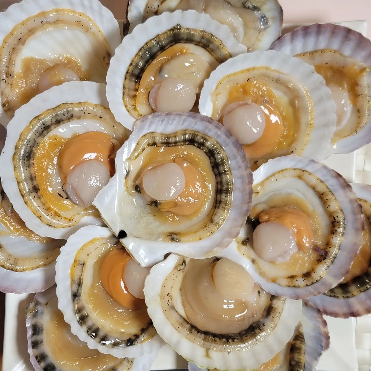 겨울엔 역시 참가리비! 
참가리비와 홍가리비의 콜라보레이션 못참쥬
오동통통한 식감~
샤브샤브나 회로 즐기기! 찜은 나중에 해먹기로
즐거운  먹요일 되세요~~

#먹스타맞팔 #먹스타그램 #맛스타그램 #푸드스타그램 #가리비 #맞팔해요 #맞팔환영 #인친해요 #food 
#일상스타그램 #daily
