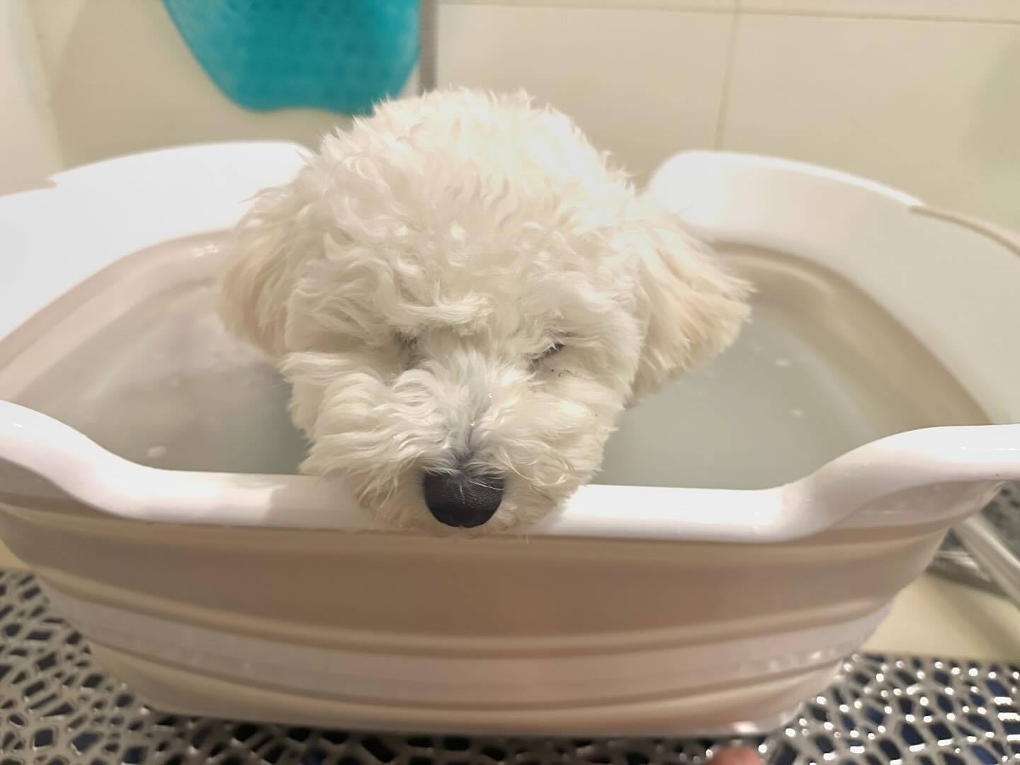 매주 돌아오는 멍스파 시간🫧🛁