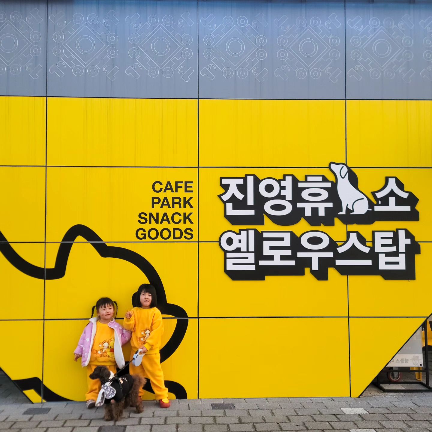국도타고 맛집천국인 진영휴게소(부산방향) !
무료 애견운동장이있다고해서 가보았는데
작지만 그래도 간만에신나게 뛰어놀수있어좋았ㅎㅎ
담엔 저녁해결하러 와야겟우다 10분거리최고😀

#진영아이랑 #진영휴게소 #진영애견운동장 #휴게소맛집
#황금돼지띠아기 #소띠아기 #19년생 #21년생
#자매맘 #뿡빵서영 #빵실서윤 #육아소통 #육아맞팔
#부산 #경남 #진영 #양산 #진영맘