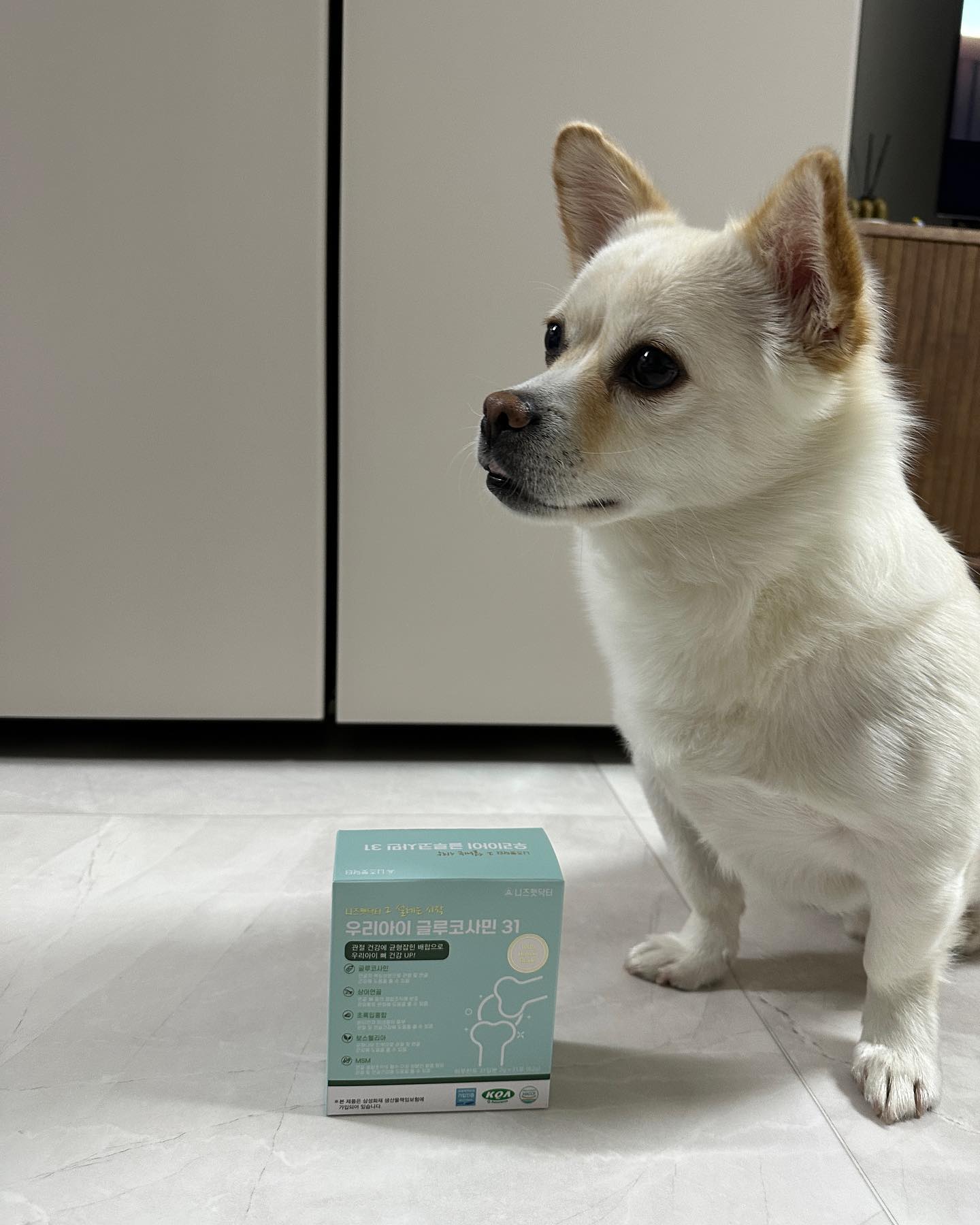 🐶강아지 관절 영양제🐶

우리 우롱이 벌써 6살 ㅠ 관절 관리 해줘야하는 나이가 되어버렸어욤🥲

 우롱이가 먹는 니즈펫닥터는 첨가물이나 부형제가 들어있지 않고 관절 건강 기능성 5종원료가 들어있다고해요! 또한 100프로 휴먼그레이드 원료라고 해서 믿고 먹이고 있답니닷!!!

우롱이는 입맛이 좀 까다로워서 마음에 안들면 바로 안먹어버리는데, 이 제품은 다행히 우롱이 마음에 들었나봐용🤍
그냥 주면 잘 안먹길래 저는 물에 타거나 사료에 타서 주고있어요! 
입맛 까다로운 우롱이가 잘먹으니 걱정없고 좋네요! 
우롱이 건강 사수

우롱이 다리야 더 튼튼해져랑🍀

#업체로부터제공받은제품입니다 
#강아지영양제 #강아지관절영양제 
#강아지관절 #반려견영양제 #애견관절영양제 #니즈펫닥터