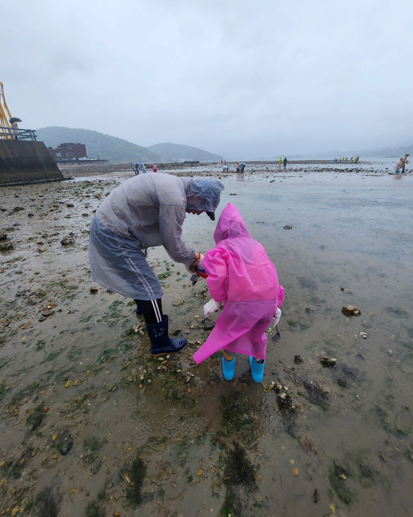 24.05.04-05.06 남해여행👨‍👩‍👧

갯벌체험하고싶다고 노래를 부른 사랑이와 몇달전부터 2박으로 펜션잡고 드디어 떠난 그나마 대구에서 가까운 남해!
첫날은 그렇게 덥더니 호의주의보 내린 어린이날이라니😭 비옷입고 시작했는데 쫄딱 다 젖고 벌벌떨다 2시간 만에 나왔지만 사장님이 좀 보태주신(?) 덕에 바지락 술찜에 바지락 칼국수까지 알차게 먹을 수 있었다🧡 태풍급 비바람에도 그 시간 안에서 즐겼던 추억 가득 쌓은 남해🩷 비 그친 후 너무 좋은 날씨 덕에 양떼목장도 제대로 즐기기! 양이 이렇게 순하다뉘🫶

#남해 #갯벌체험 #바지락 #소라게 #참게 #바지락술찜 #바지락칼국수 #고동 #내산분교 #나비생태공원 #남해양떼목장