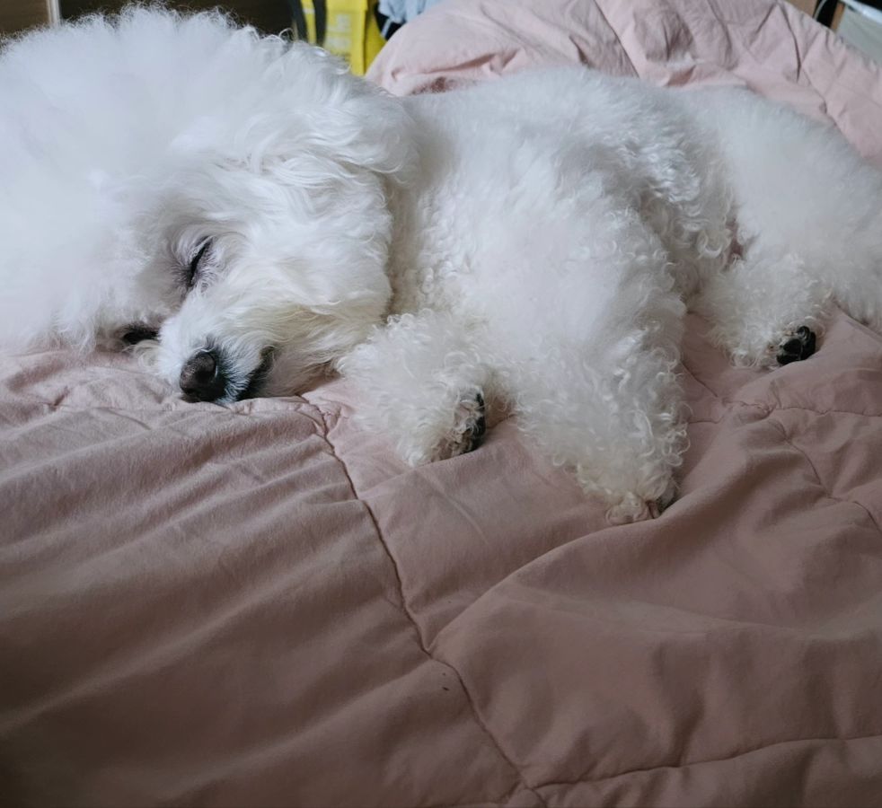 -
세리 코 잔다😴