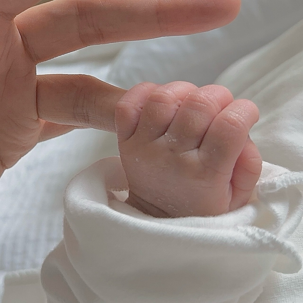 🕊️공주님을 출산하고 
처음 너랑 손잡은 순간
너무 작고 소중해서 
부서질 것만 같았어🤍