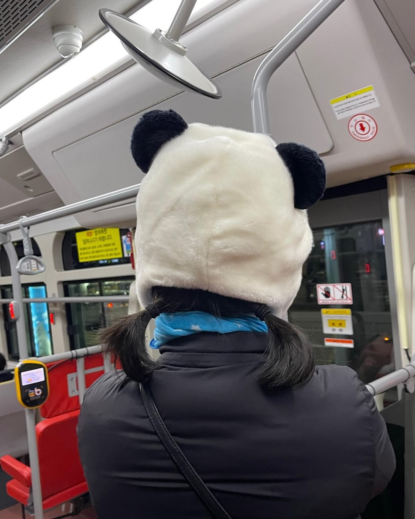뀨! 중학교 때 샀던 판다모자 🐼