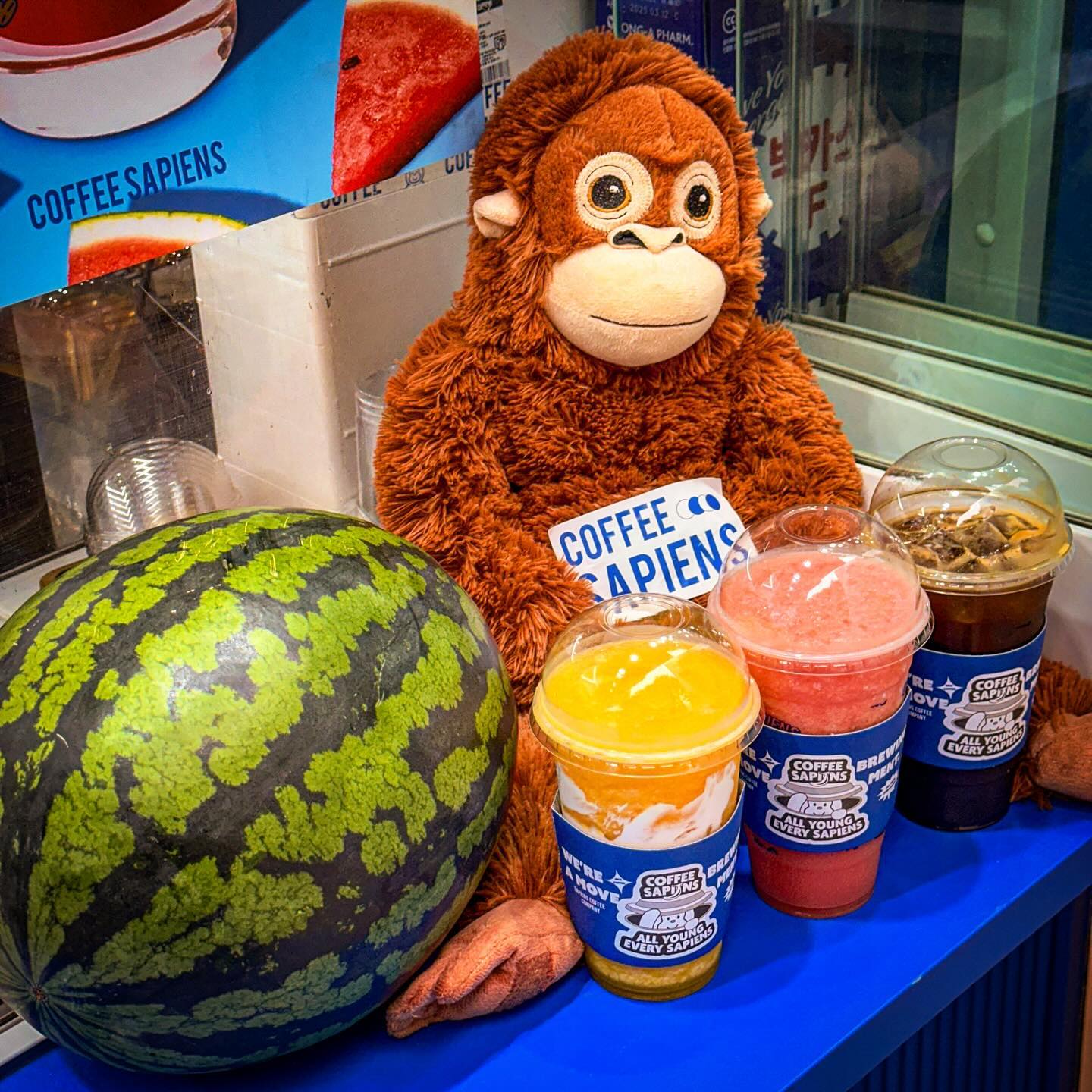 #광고 한 달에 100만잔 나가는 집❣️
태국 유학가서 배워온 땡모빤🇹🇭

✨커피사피엔스✨
( sapiens_cff )

태국에서 직접 레시피를
공수 받아 만든 땡모반이라
여름엔 꼭 먹어야 하거든요💗

고당도 수박을 갈아주니까
태국 현지의 맛을 확실하게
그대로 느낄 수 있었어요🍉

이번에 새로 나온 구름망고주스
쭉 들이켰는데 달달시원상큼해서
더위가 싹 가시는 것 같아요🥭

커피사피엔스 빠지면 서운한
갓성비 그 자체 아메리카노는
꼬소하고 짙은 맛 B원두 픽✨

쿠키 잘하는 집이라 올 때마다
골고루 주문해서 쟁여가는데
빠짐없이 다 맛있는 집🍪

쿠키 두께부터 심상치 않은데
속재료가 진짜 가득가득하고
식감 풍미 가득이라 사랑해💗

커피사피엔스 또또또간집인데
이쯤이면 찐단골 인정해줘⭐️

by #FREEMEEOM inflca

-
#커피사피엔스 #coffeesapiens #힙한카페 #커피맛집 #상암동클라쓰 #커스텀마이징카페 #땡모반 #인플카 #신상카페 #신상카페맛집 #커피사피엔스공덕파크팰리스점 #공덕카페맛집 #공덕카페 #공덕쿠키 #공덕맛집추천 #공덕직장인맛집 #공덕직장인맛집추천 #맛스타그램#먹스타그램#먹방스타그램#먹팔#먹스타맞팔#좋아요#좋반#먹반#맛집스타그램#일상스타그램#맛집추천