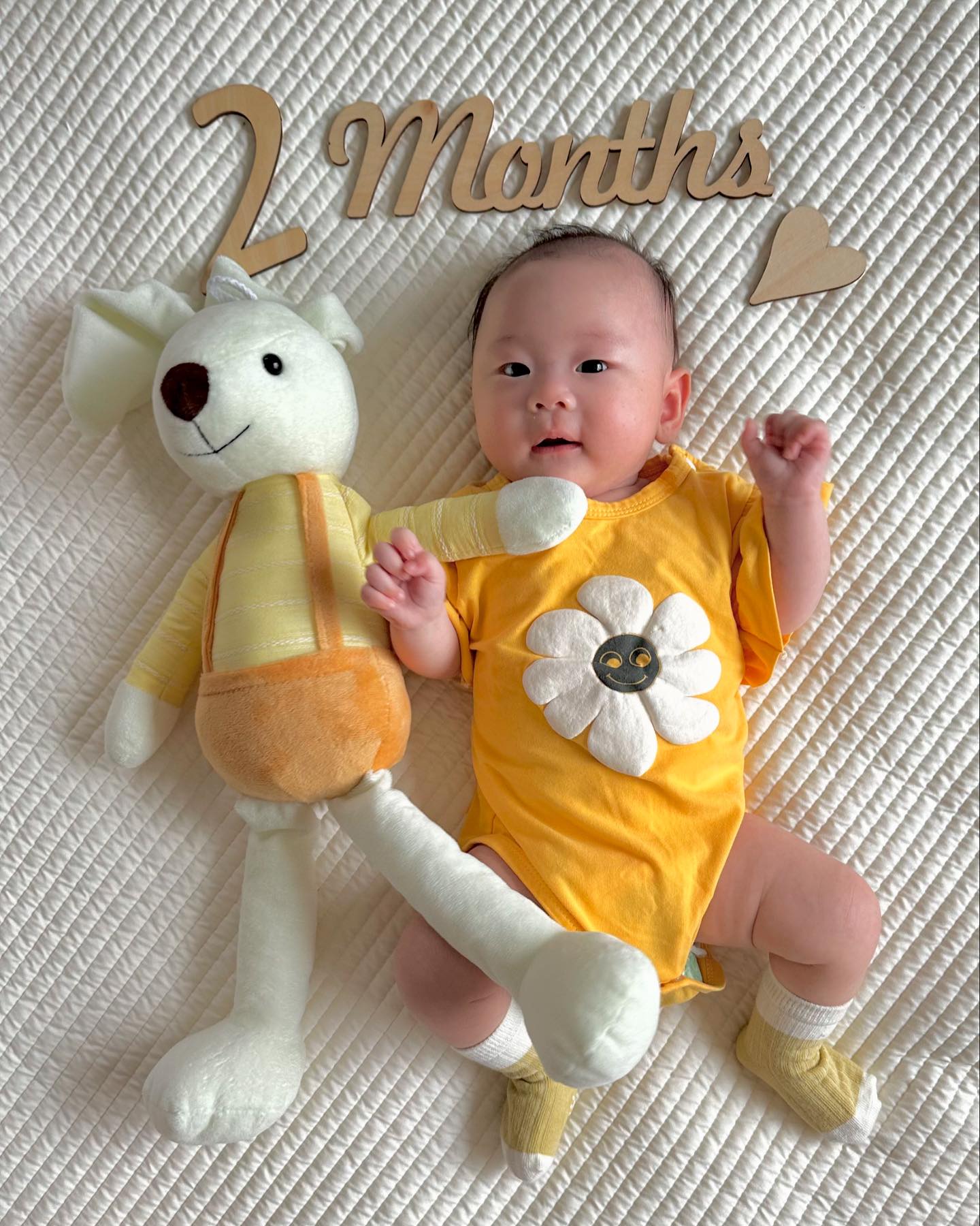 ❤️
#2개월아기 #셀프개월수촬영 #노랑이컨셉 #💛 #귀염둥이 #방긋방긋 #😆 #로앤코코아기옷 #쑥쑥커가는중 #👶🏻 roencoco_official