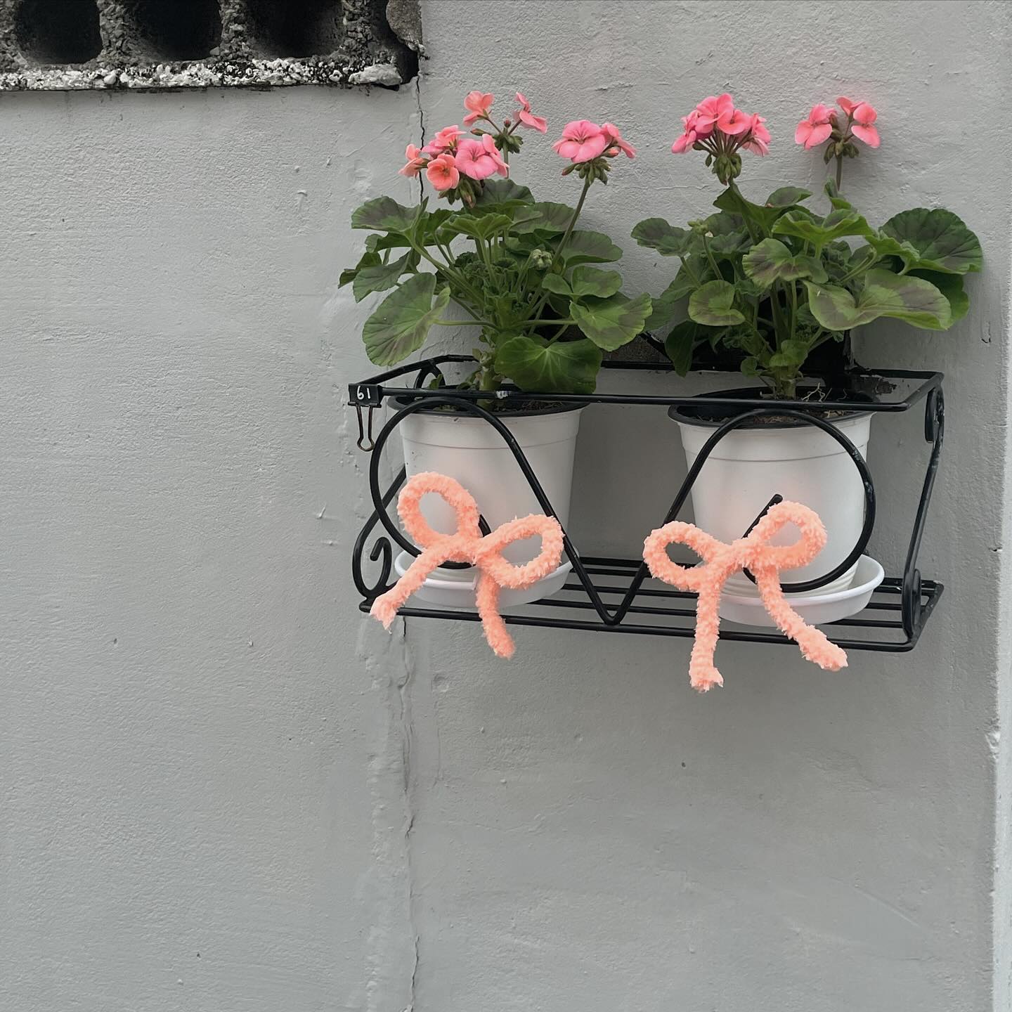봉리단잼ㅎㅎ
