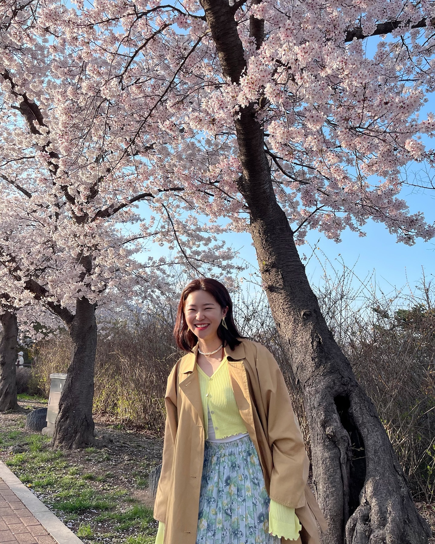 평일에 오길 잘해따 🌸