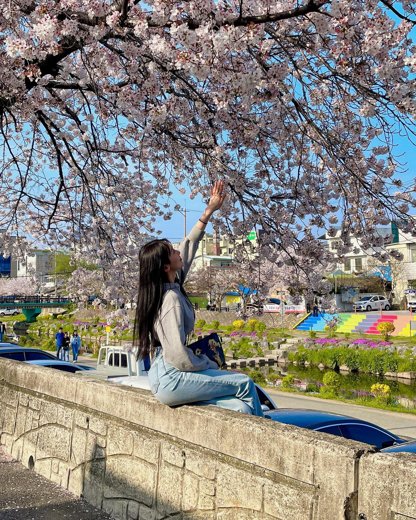 꽃바람🌸