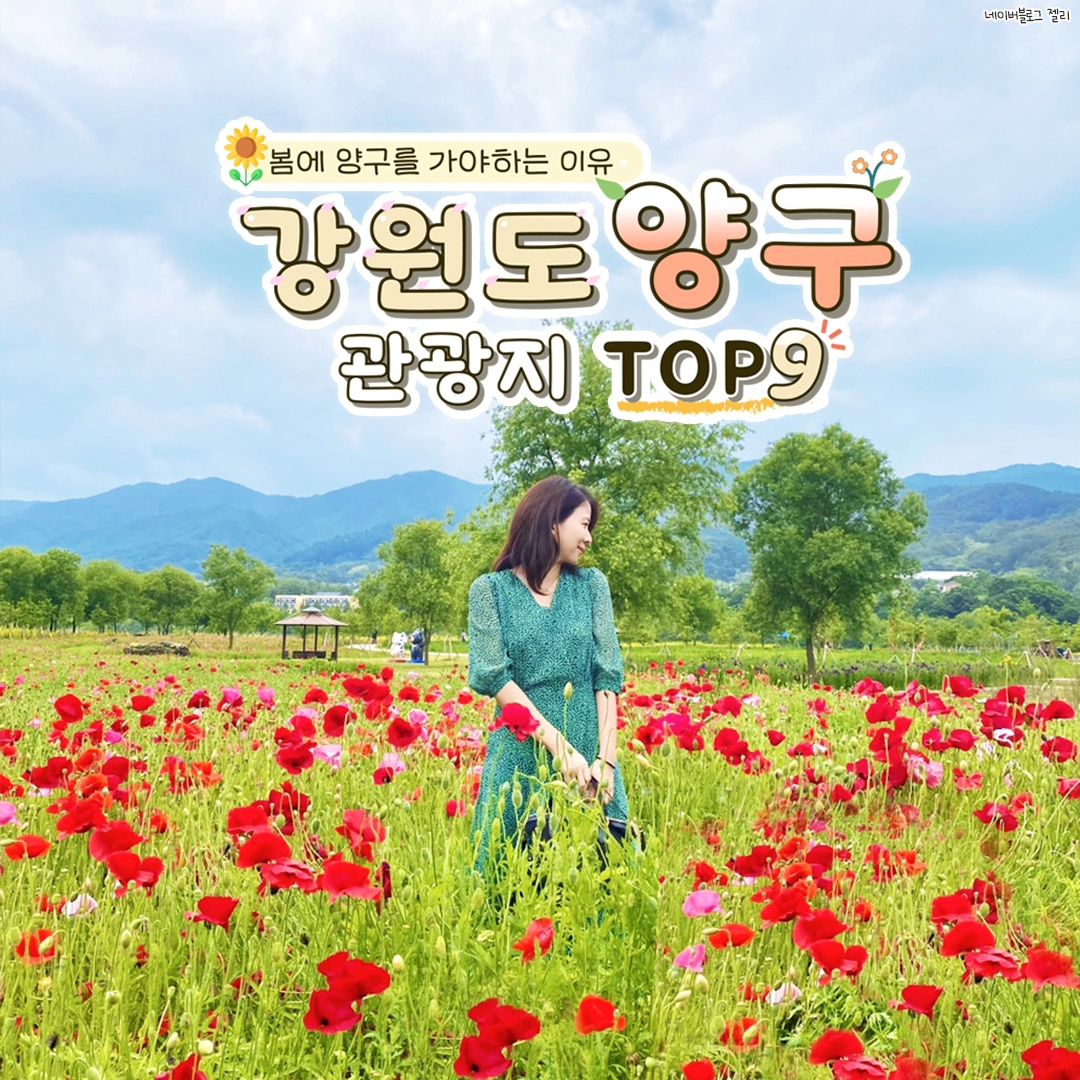 #지자체지원 #양구

봄에 양구를 가야하는 이유✴️
강원도 양구 여행지 TOP9!! 힐링관광 가보자고〰️🌻

1. #한반도섬
📍양구읍 한반도섬길 76
-파로호의 한반도 모양의 인공습지인 한반도섬
-산책로와 편의시절도 잘 갖춰져 있어 휴식을 하며 봄바람을 만끽할 수 있는 곳🏝️🌿

2.#파로호꽃섬
📍양구읍 하리 570-1
-한반도섬과 근접한 파로호꽃섬
-사계절내내 꽃이 피는 섬에서 봄꽃과 사진찍기 좋은 곳🌷

3. #레포츠공원벚꽃
📍양구읍 정림리 205-7
-야간 조명 빛 터널이 생길 레포츠공원
자연경관과 아름다운 빛의 조화가 너무 기대가 되는 곳✨🌸

4. #양구수목원
📍동면 숨골로310번길 131
-양구의 힐링 코스인 양구수목원🌳
-다양한 자연의 모습과 생태를 볼 수 있으며, 야생동물 생태관, 분재원, 사계절 썰매장 등
 다양한 공간에서 아이들과 함께 하기 좋은 곳

5. #약수골캠핑장
📍동면 약수터길 28
-숲 속에서 조용히 물 흐르는 소리를 들으며 힐링 캠프 하기 좋은 곳 🏕️

6. #상6리벽화골목
📍양구읍 중심로 상6리 골목길

-양구의 핫플인 상6리벽화골목
-다양한 예쁜 문구와 그림들이 있어 포토존으로 딱인 곳📸

7. #백자박물관 
📍방산면 평화로 5182
-멋진 건축물들과 다양한 백자들이 있어 구경하기도 좋고 
저렴한 가격으로 도자기 만들기 체험도 할 수 있는 한국관광 로컬 100 선정지 🍵

8. #박수근미술관
📍박수근로 265-15 
-다양한 박수근 화백의 작품을 관람하고 산책길도 잘 가꿔져 있어 
아름다운 자연과 어우러진 조형미를 느낄 수 있는 한국관광 로컬 100선정지 🖼

9. #곰취축제
💚기간 : 2024.5.3(금)~5.6(월)4일간
💚장소 : 양구서천레포츠공원 일원
💚내용 : 곰취를 활용한 영양가 넘치는 먹거리,다양한 공연과 체험행사
*자세한 사항은 양구문화재단 홈페이지에서 확인 가능합니다.
.
.
.

#양구 #양구여행 #양구핫플 #양구여행지 #양구여행추천 #양구가볼만한곳 #대한민국구석구석 #강원도 #국내여행 #국내여행지 #봄여행지 #양구관광명소 #곰취축제 #양구곰취축제 #청춘양구곰취그린페스타
