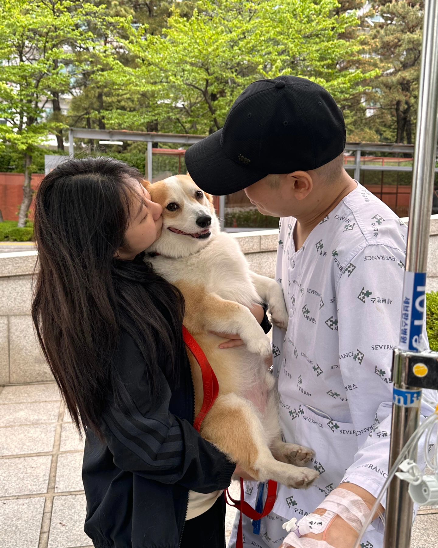 바쁘디 바쁜 버거네 이번주 일기 
지난주 금요일 응급실 갔다가 바로 입원 !
멘탈 바사삭 다시 힘겹게 부여잡았습니다 :>
아시는 분들은 많이 아셔서 많이 연락 주셨어요 감사합니당 😆 
스토리를 아무렇지 않게 올리지만 그저 하루하루 즐겁게
보내고자 합니다 :) 
이번에 급히 일주일을 쉬게 되었지만 회사 식구들이 많이
도와주기도 했구 특히나 저희 가족들이 많이 도와줘서
무사히 병원생활을 이어가는 중입니다 !
집에 잠시 들럿다가 다시 병원가는길에 5년만에 첫 사고도 냈지만
잘 해결되었어요 ! 액뗌 했다 칠려구요 덕분인지는 모르겠지만
버거파도 잘 회복중이고욤 !
몇일 뒤에는 퇴원해서 또 버거랑 즐겁게 놀고 일도 하며
일상생활을 이어 나갈거같아여!
언제나 우리 아가덜 그리고 힘겹게 투병중이신 분들도 모두
저희처럼 힘내시길 바랍니다 ! 🙏

#웰시코기 #버거네 #투병일기 #모두들 #할수있다 #힘내요 #화이팅