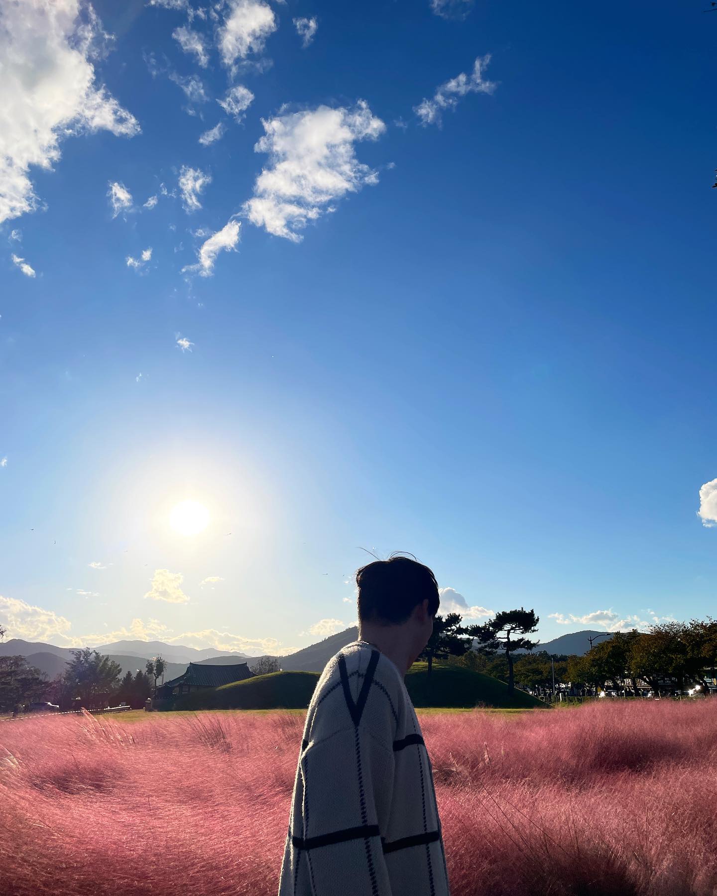 앞모습이 없넹

#경주 #핑크뮬리 #이쁘다 #생각보다