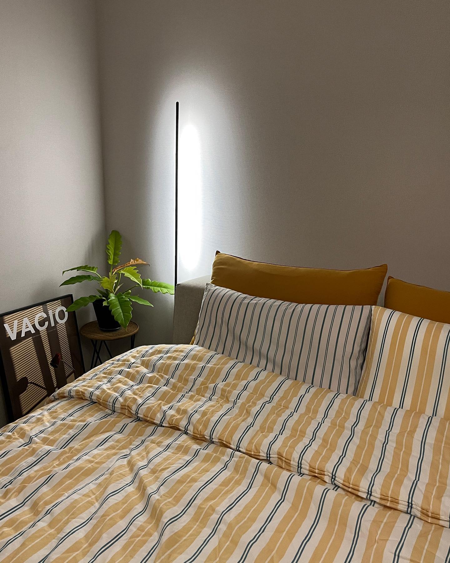 X 🛏️

연휴가 지나고 늘어지는 와중에
연말모임과 일까지 많아서 집에 신경을 못썼네요.
그 사이 집이 엉망이 되어서 모임 끝나고 오자마자 대청소를 싹☝🏻

침실 침구 정리도 하고, 기분전환으로 식물이도 하나 가져다두니
더 예뻐보여서 몇 컷 남겨봅니다🫶🏻