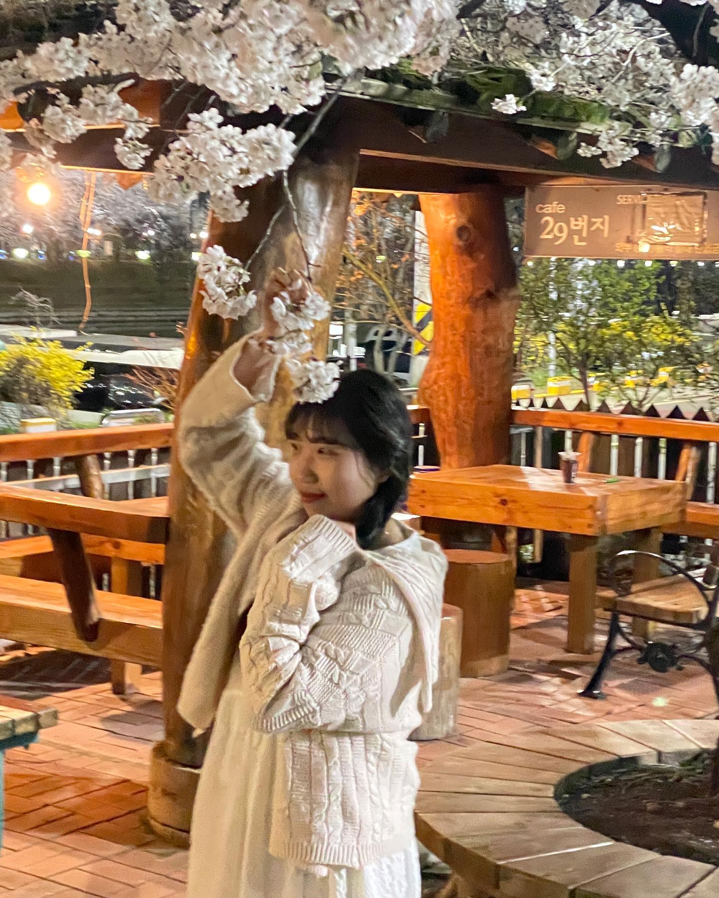 벚꽃으로 도배중 🌸🌸