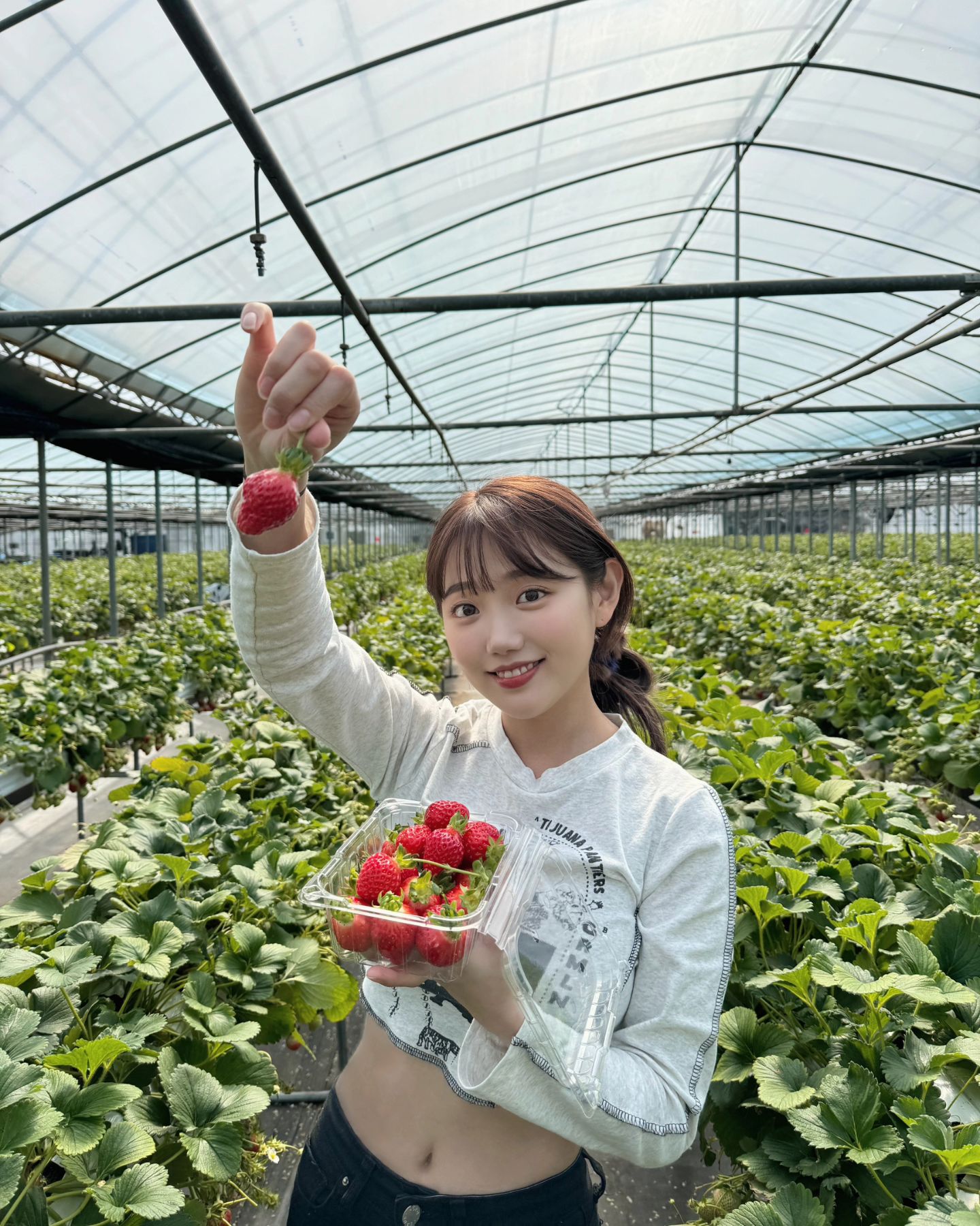 딸기가 풍년이오🍓🍓❤️