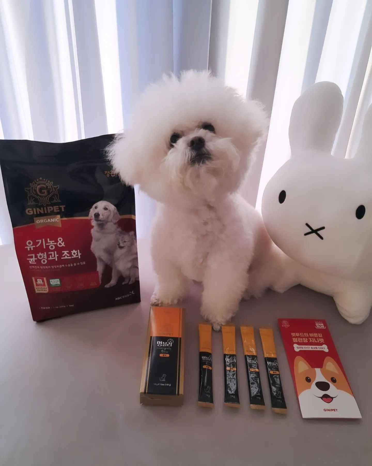 #협찬 정관장지니펫
멍블리타임황태+유기농사료 

🐕🐶노견이돼가며 요즘기운없어하는 울댕댕이 ㅠ ㅠ
정관장 지니펫 믿을만해서 지인소개로 요즘 급여하고 있는데 헐..너무잘먹어서 뿌듯하네요 💯
🐕🐶가수분해 닭고기와 홍삼 ~~♡♡믿을수 있는원료와 면역력에 좋은홍삼까지 !!
울댕댕이들 영양생각해 지니펫 강추해요 !
🐕개별포장돼있는황태는 산책할때도 여행갈때도 너무좋네요 건강한간식 특히 기호성이 너무좋아요 👌👍👍
🐶🐕홍삼베이스 면역력 유기농사료도 크기도 좋고 배변 활동도 너무좋아서 지니펫 애정예정입니다^^
면역력.영양까지 생각한 사료 찾으신다면 강추예요 
홍삼사료 유기농사료 찾으신다면 꼭 찾아보세요 ~~♡♡

#협찬 #홍삼 #반려견사료 #강아지사료 #강아지간식 #정관장 #가수분해닭고기 #액상포형간식 #지니펫 #멍블리 #유기농사료 #홍삼사료 #면역력사료 #강아지면역력 #반려견간식 #멍멍이 #댕댕이 #강아지 #기호성좋은사료 #멍스타그램 #강아지사료추천 #사료추천 #닭고기사료