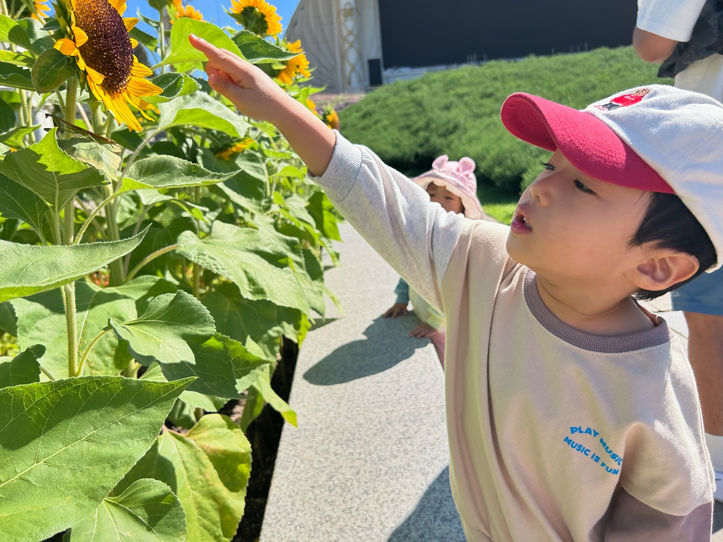 우리가 해바라기 사이에서 만난 건..
바로바로
#mantis !! 🌿

좋아하는 #해바라기