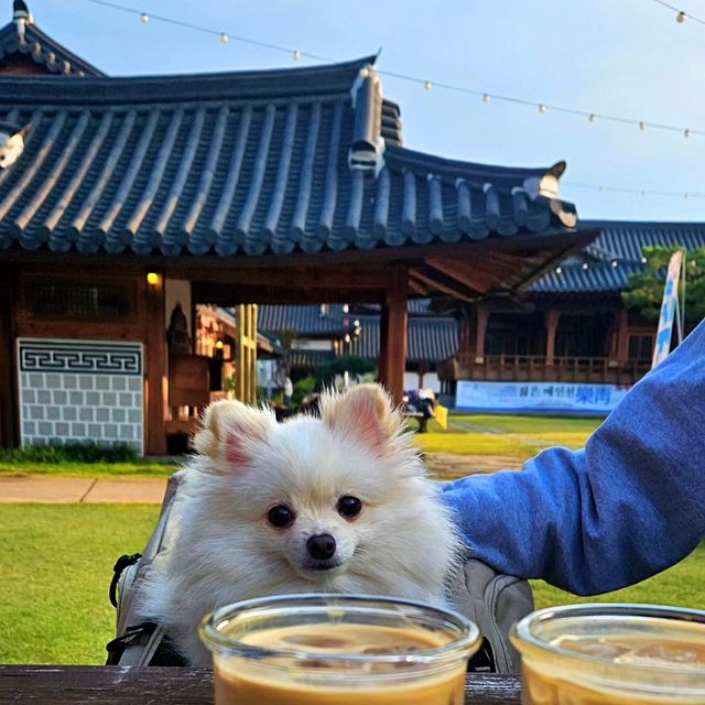 김예진 on Instagram: "#광고 #행궁동카페 저번주 주말 좋은 기회로 협찬을 받게되어 장안문 근처에있는 "행궁동카페 카페도화"라는 곳을 다녀왔어요😁 애견동반도 된다는말에 포포도 함께 남