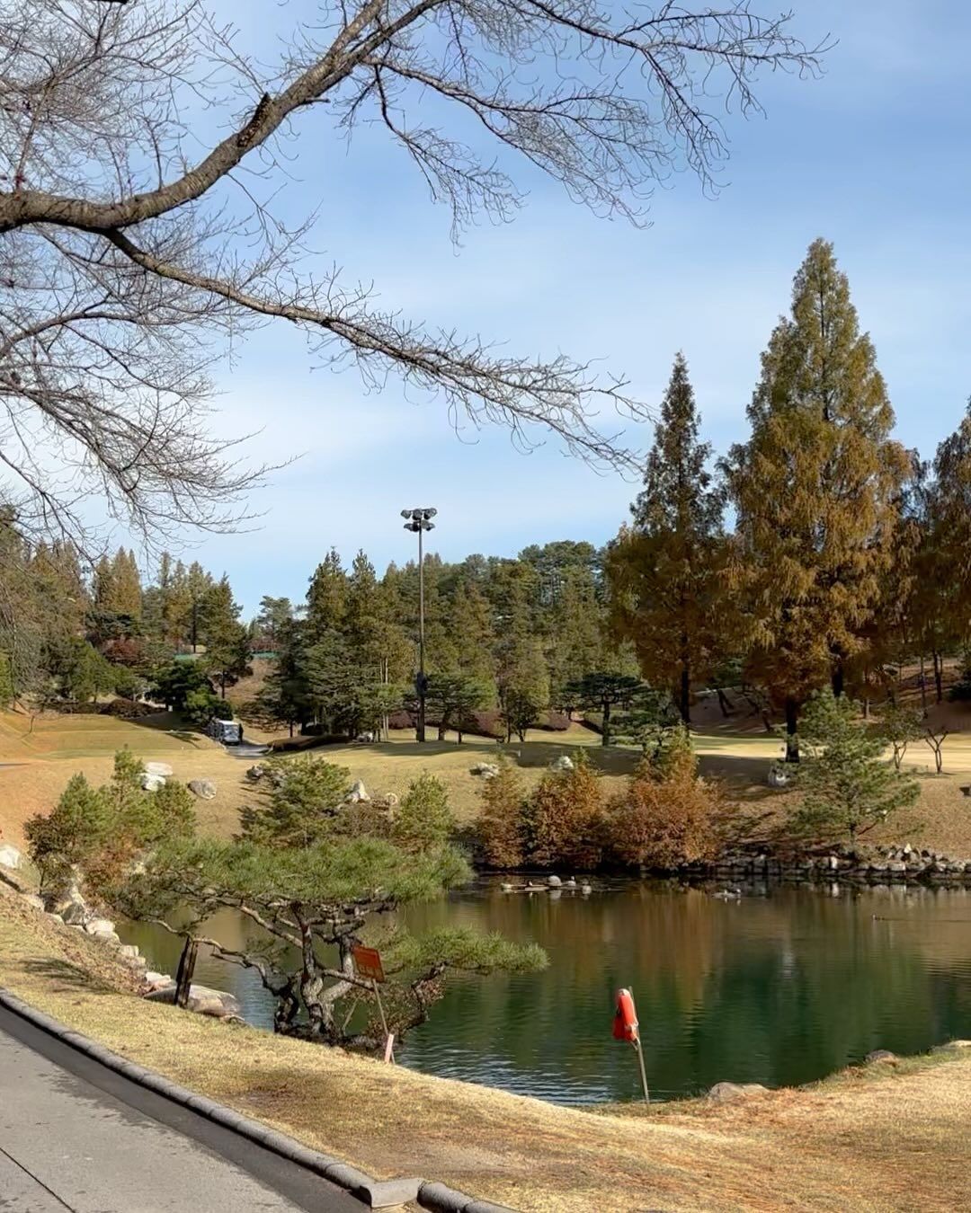임신이후 첫 필드복귀이자 시즌마무리였던 지난주 #한원CC 라운딩⛳️

원래 남편이 가기로한 가족란딩을 나한테 양보(?)해준건데 샷도 많이 망가진데다 (드라이브 심각;;) 연습할 시간도 없어서 부담감에 가기전에 남편한테 엄청 찡찡댔.. (아기키우는동안 골프 그냥 쉴까봐 등등😂)

이렇게 추운날 필드는 처음이라 6겹입고 나갔는데 안왔으면 어쩔뻔.. 해뜨는광경부터 골프장이 너~무 예뻐서 정말 대힐링하고왔다…🍃🌲

맨날 아기랑 씨름하며 챗바퀴처럼 돌아가는 일상에 이렇게 잠시라도 자연속에서 가족들이랑 고즈넉한 시간을 보낼수 있는게 얼마나 감사한지! 😔

우리둘다 지금은 골프에 할애할시간이 없어 내가 당분간 골프 놔야겠다고 했는데, 남편이 자기한텐 골프가 중노년에 가족들이랑 시간보낼 수단이라고 말했다. 그래.. 내가 골프안쳤으면 이렇게 아빠랑 삼촌이랑 이모부랑 오래 얘기하면서 시간보낼 수 없었겠지.. 

수아랑 할무니할아버지 모시고 필드나가는 그날을 꿈꾸며 좀 못쳐도 견뎌내고(?) 골프 포기하지 말아야겠다- 👨‍👩‍👧‍👦🤍

#골프장 #겨울라운딩
#한원컨트리클럽