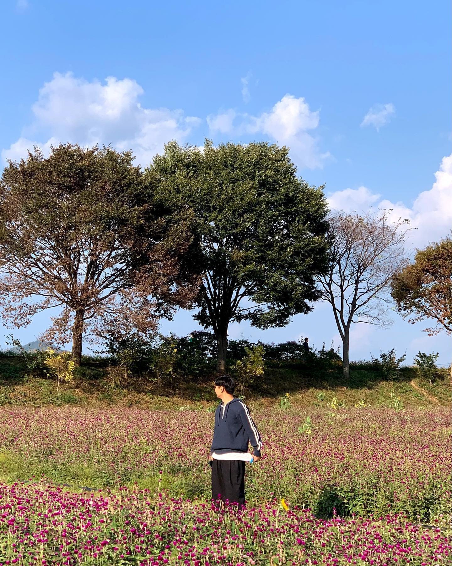장성 황룡강 꽃 축제에서 주말 얌지게 보내기 🧡