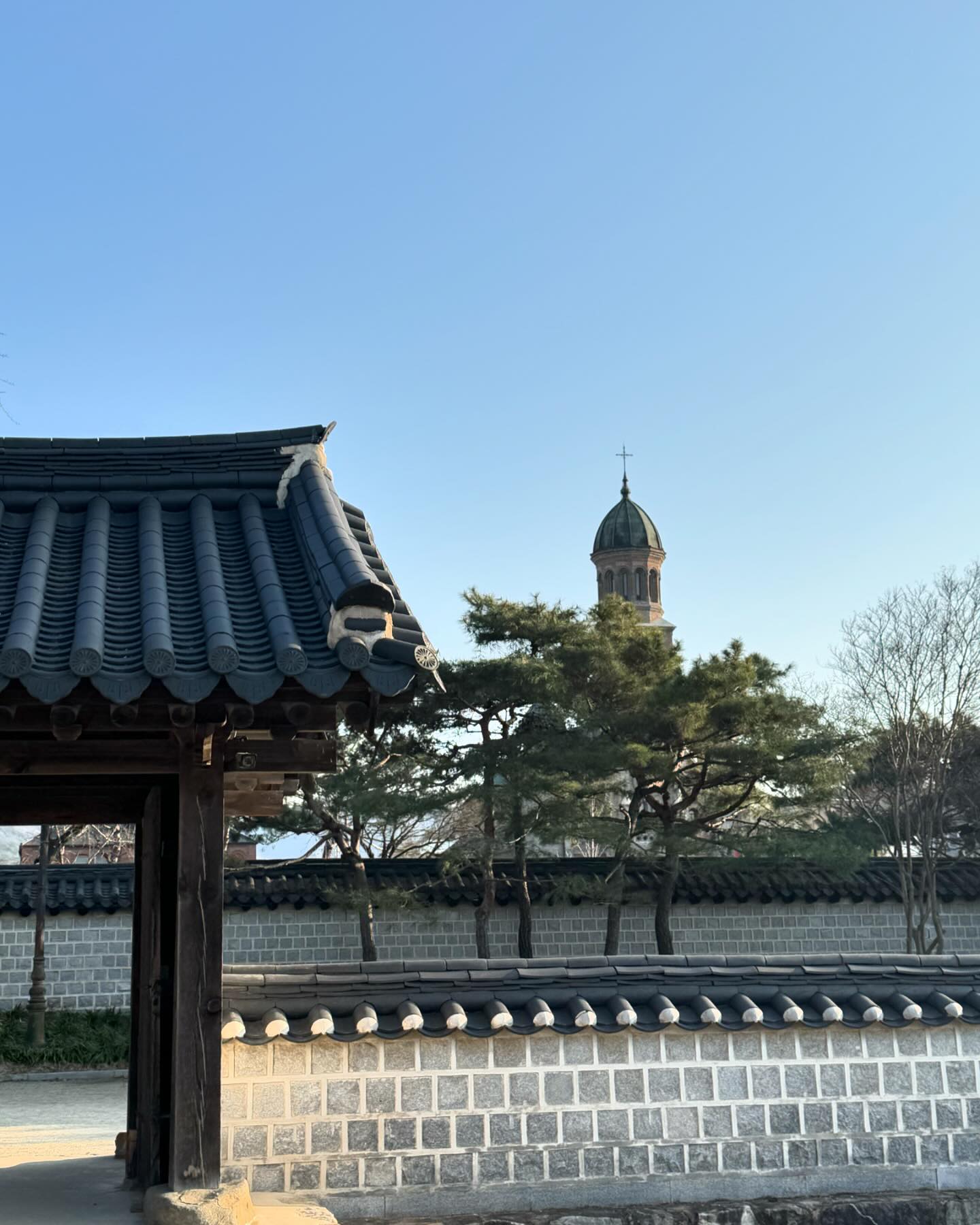 외쿡사람 모시고 #전주