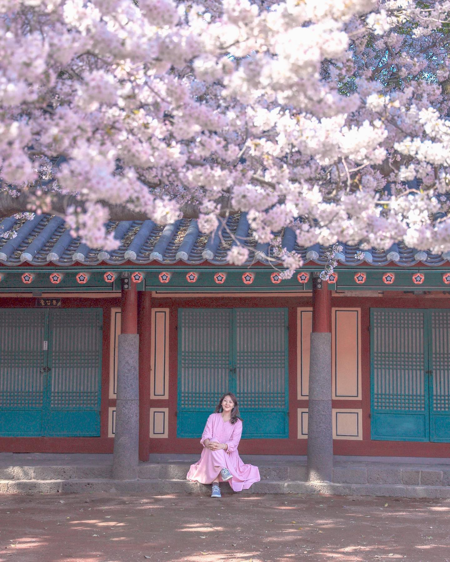 #제주벚꽃 

예쁜 사진 스팟 #삼성혈
#제주벚꽃명소 

밝은 색 옷 입고 가세요 ^^ 
#제주도벚꽃 작년 사진인데 
지금 만개해서 분홍폭탄이래요 

일년에 몇번 못 입는 분홍원피스 
#벚꽃사진 찍을 때 꺼내입기