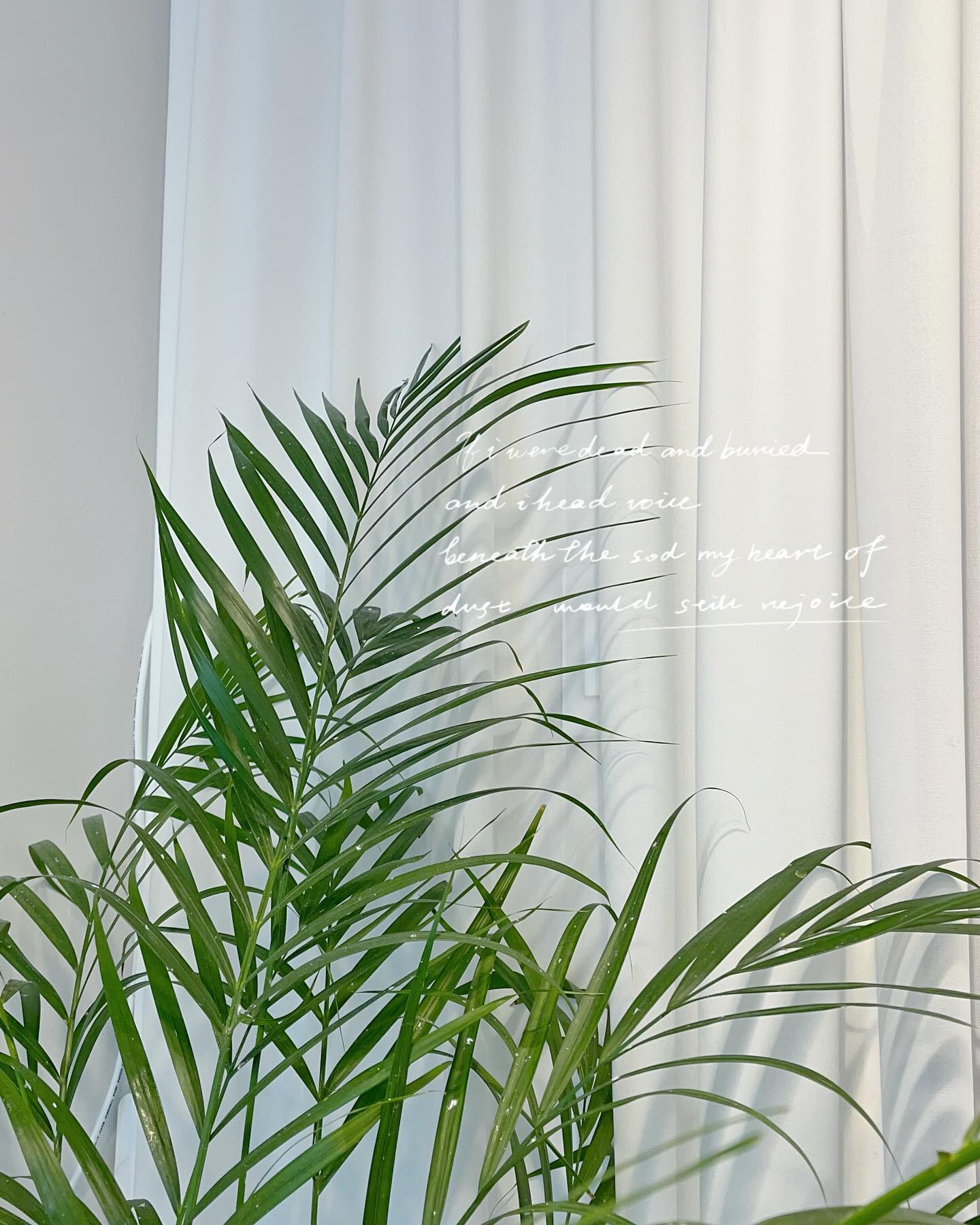 🌿