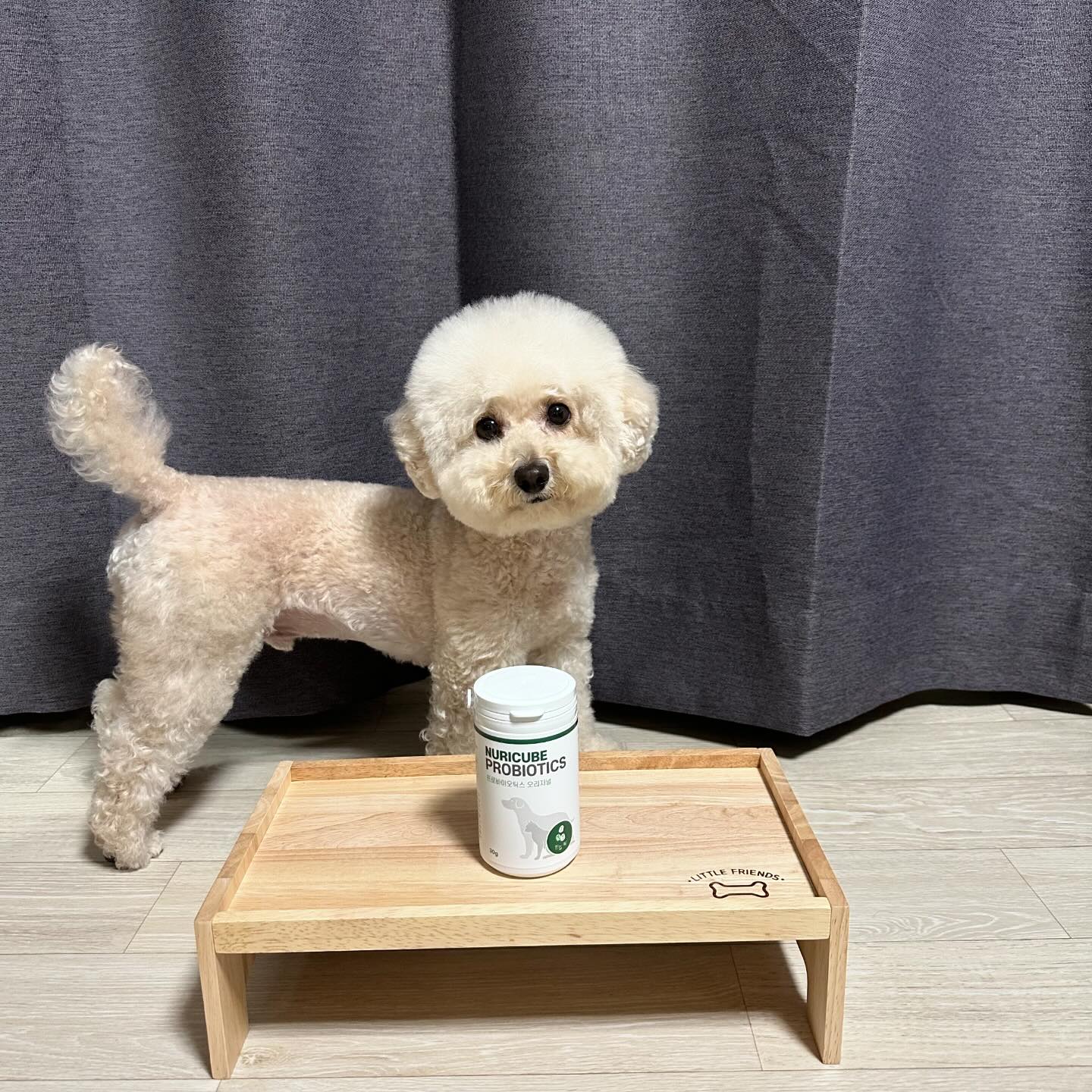#제품제공 #협찬

🤍누리큐브 프로바이오틱스 오리지널 유산균 동결건조 트릿🤍

✔️미쇄분쇄로 소화흡수율 개선
✔️특허받은 4종 혼합유산균
✔️당류,전분류 ❌,슈가프리,그레인프리
✔️100%휴먼그레이드
✔️첨단 동결건조 공법

⭐️닭가슴살 지방을 손수 제거한 고단백 누리큐브로 강화된 유산균 배양액과 미쇄분쇄로 소화흡수율을 개선하여 돌아온 프로바이오틱스 오리지널⭐️

✨큐브단독으로 먹어도 🆗
✨사료 위에 토핑으로🆗
✨펫밀크와 시리얼과 함께🆗

장건강을 책임지는 유산균이 동결건조로 되어 간편하게 급여가능하다구 ❤️‍🔥‼️ 

oboknuri 
#오복누리 #강아지유산균 #반려동물영양제 #유산균 #애견영양제 #고양이유산균 #유산균영양제 #동결건조 #동결건조유산균